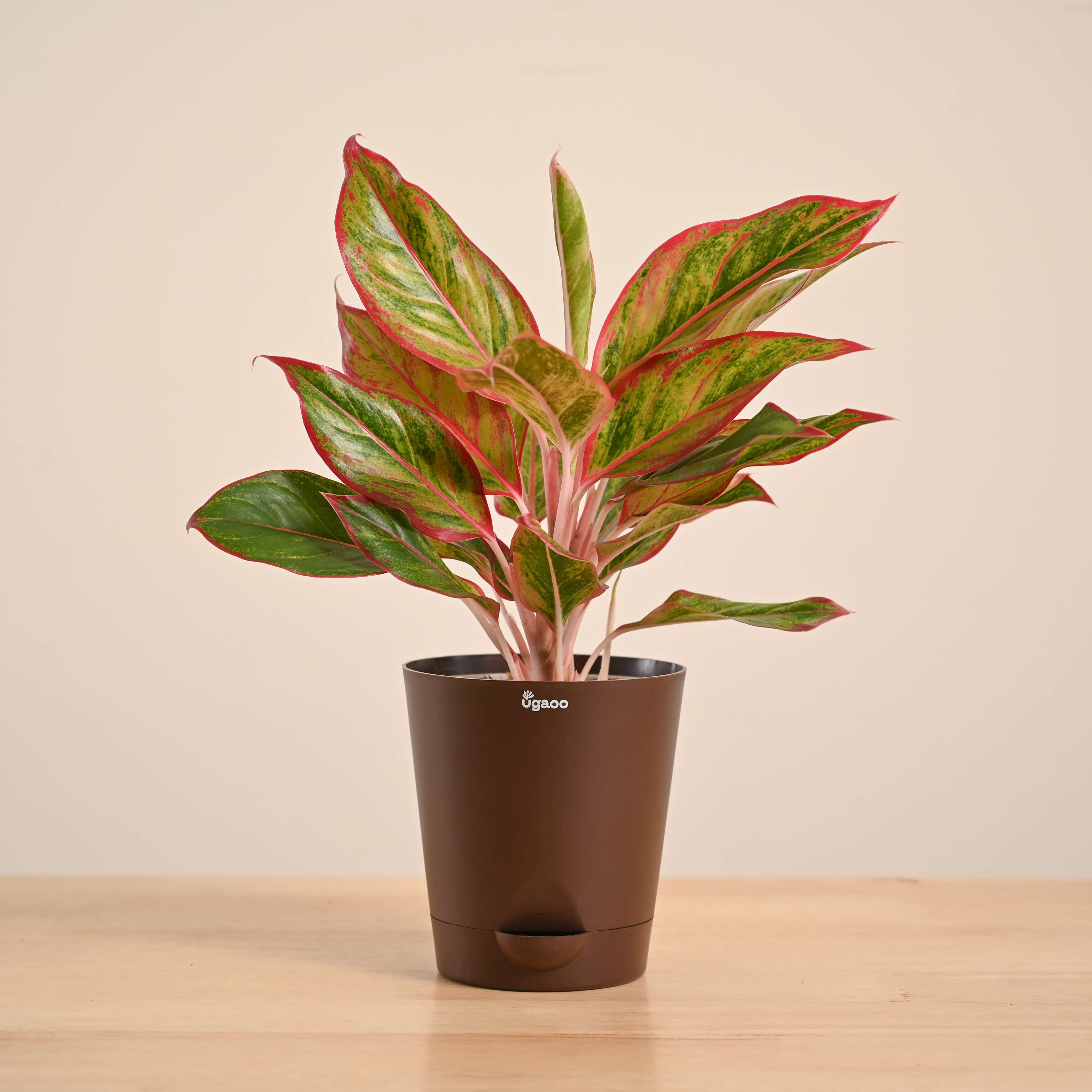 Product image 68