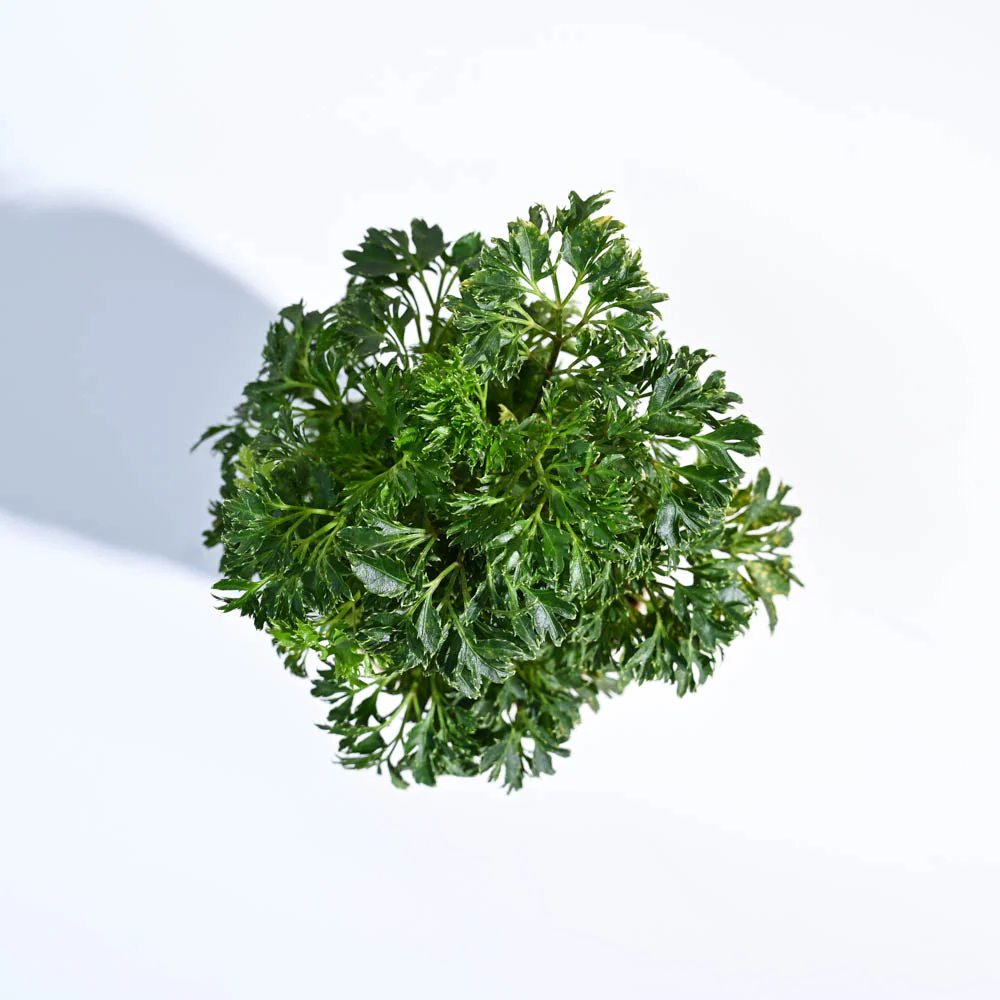 Product image 85