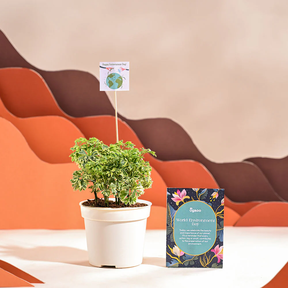 Product image 68