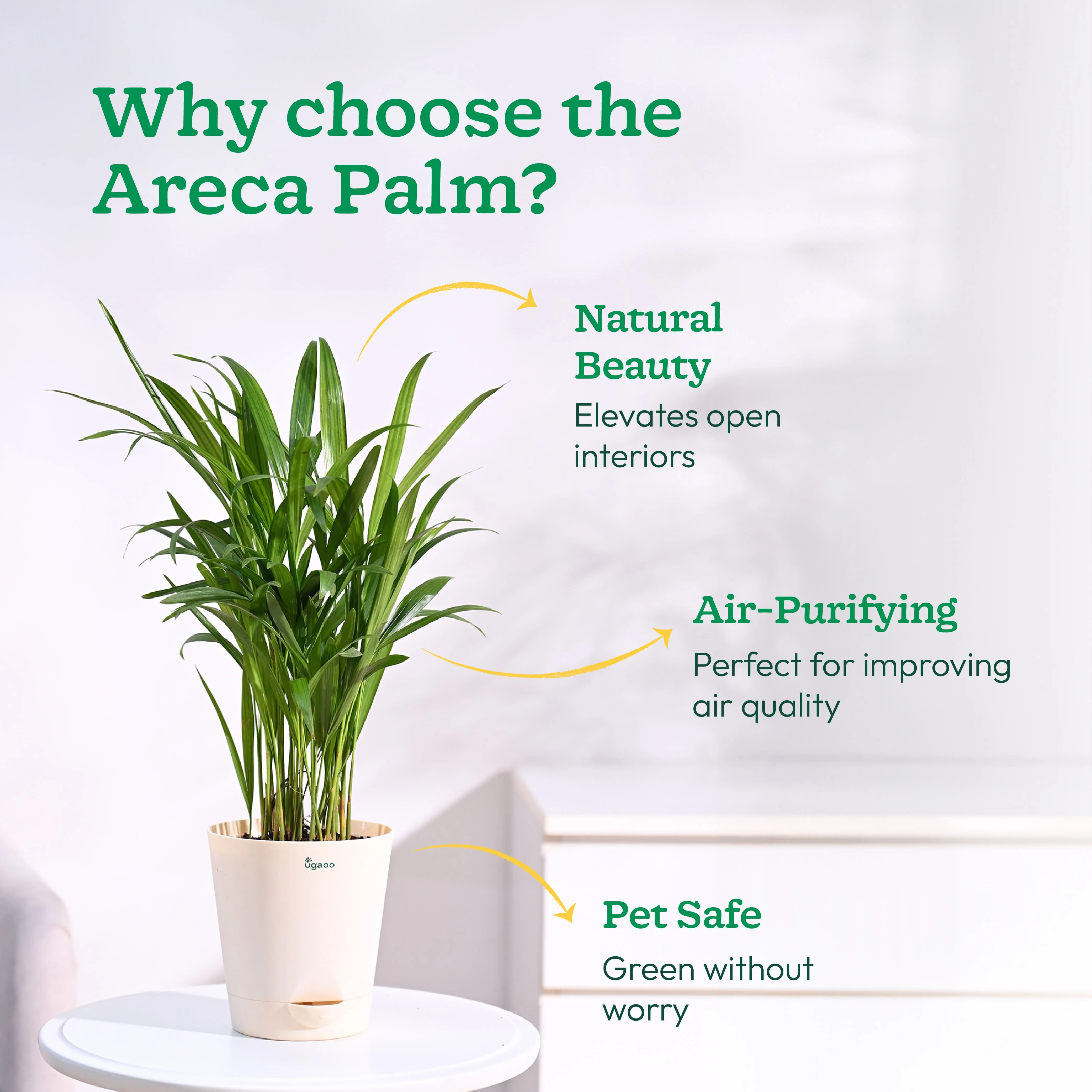 Product image 120