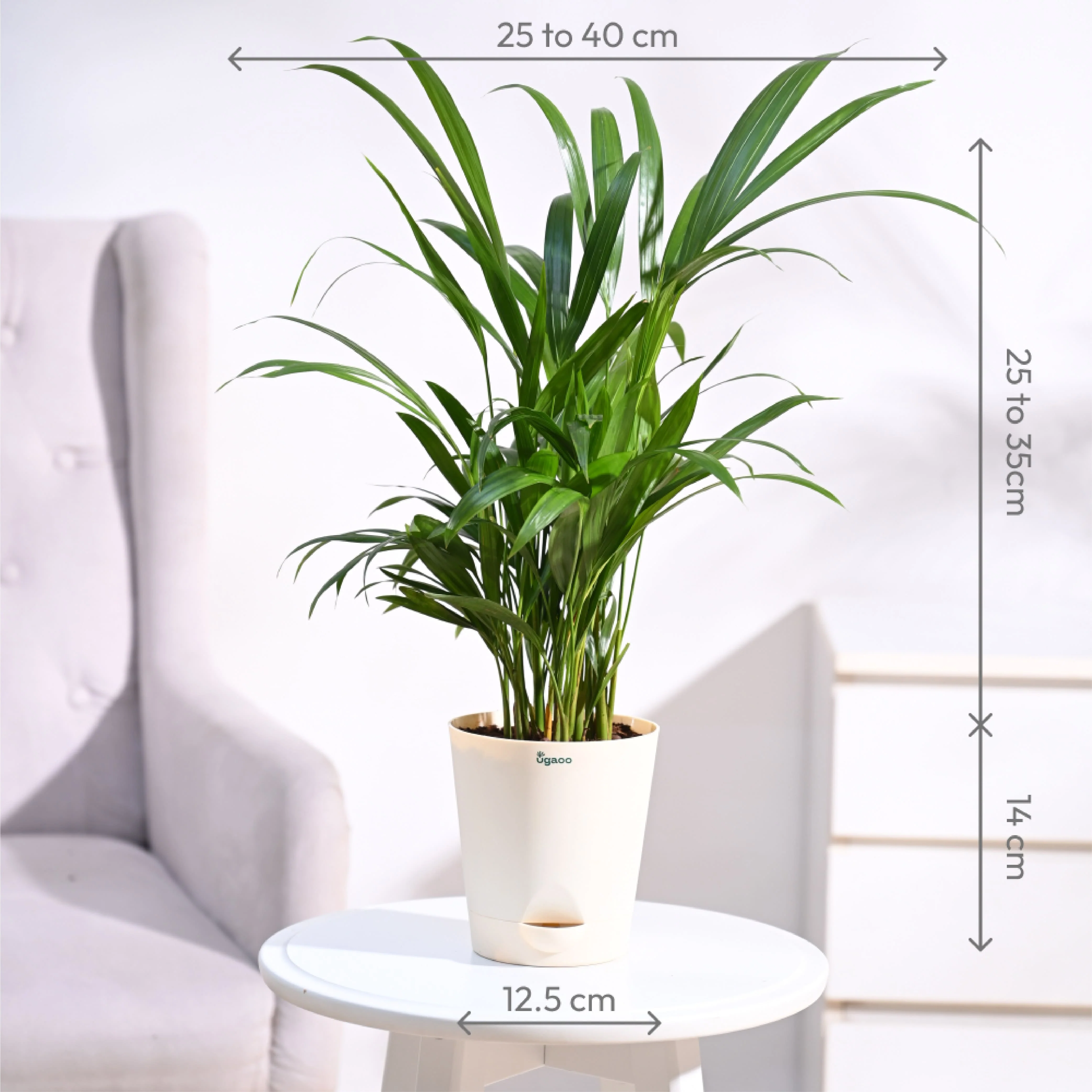 Product image 122
