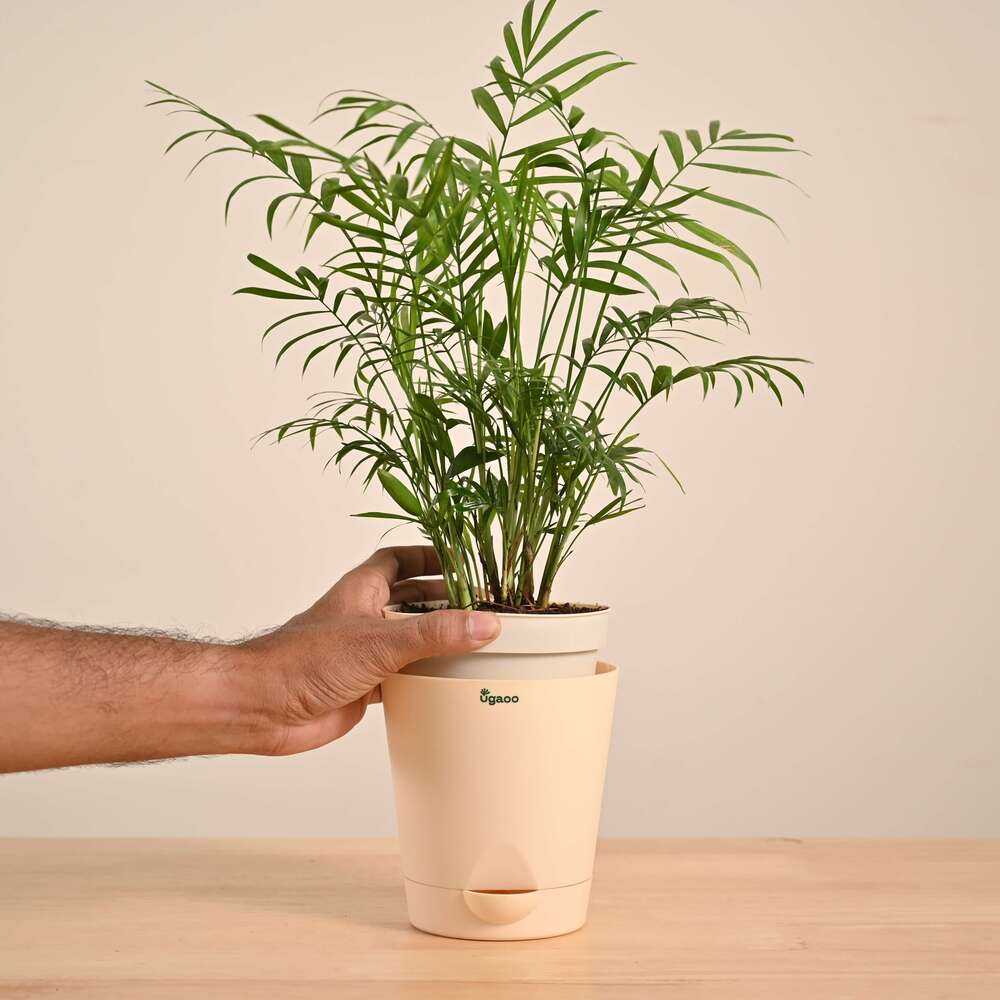 Product image 119