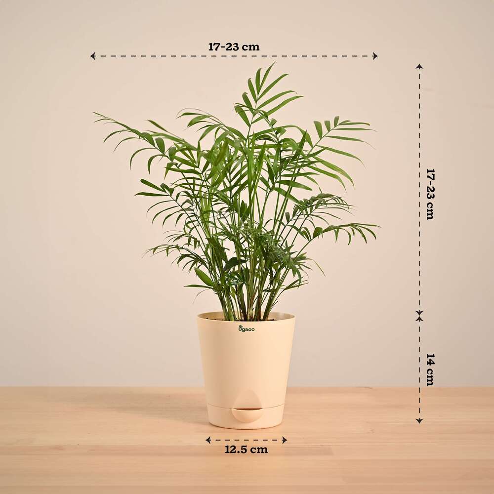 Product image 128