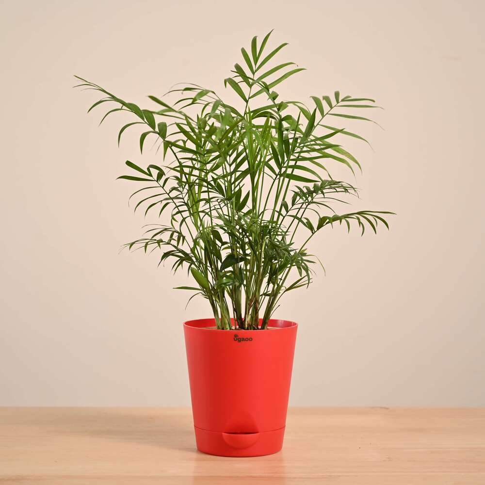 Product image 133