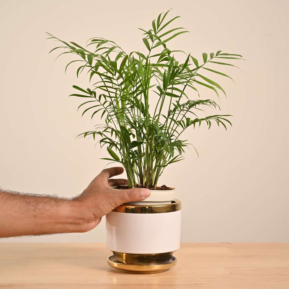 Product image 147