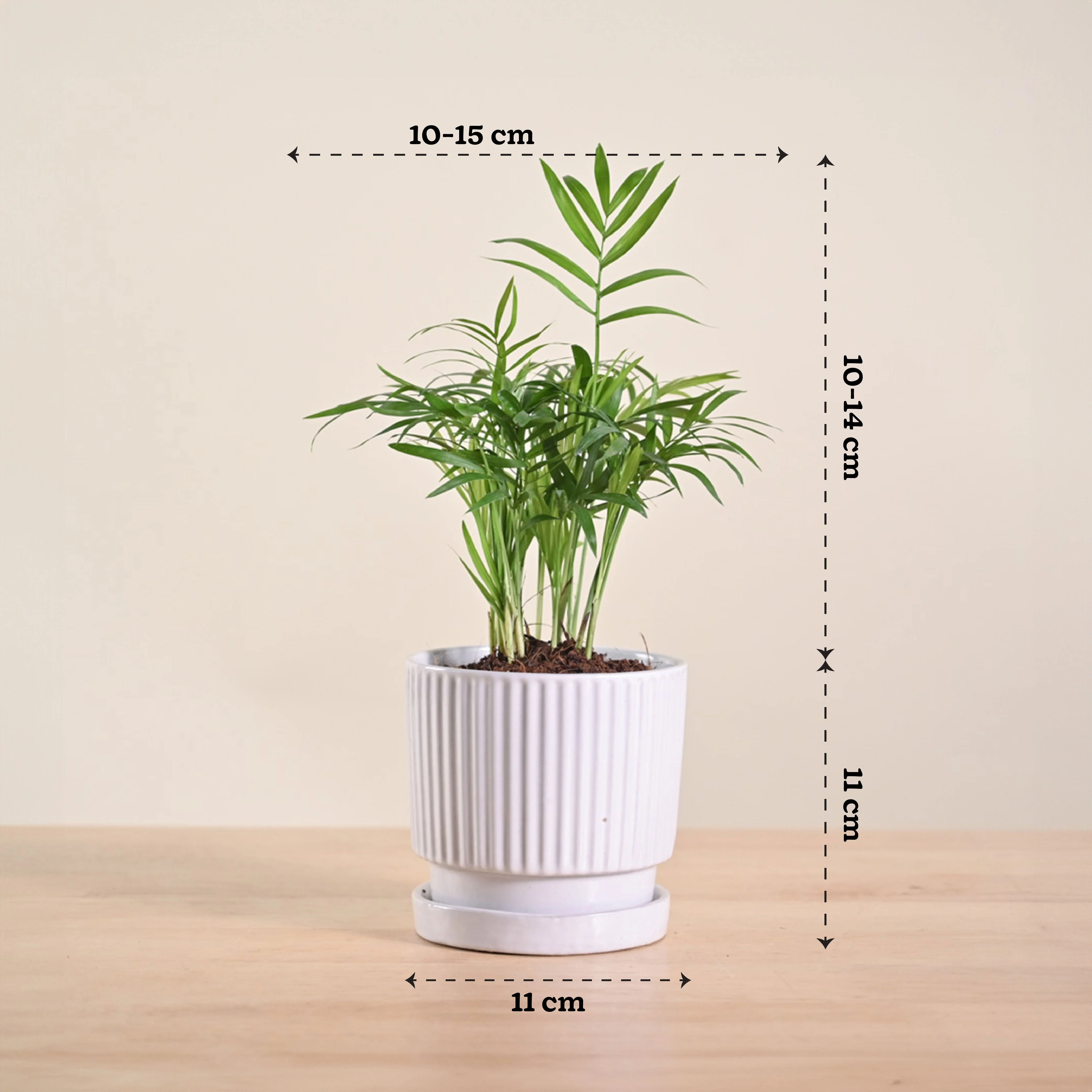 Product image 199