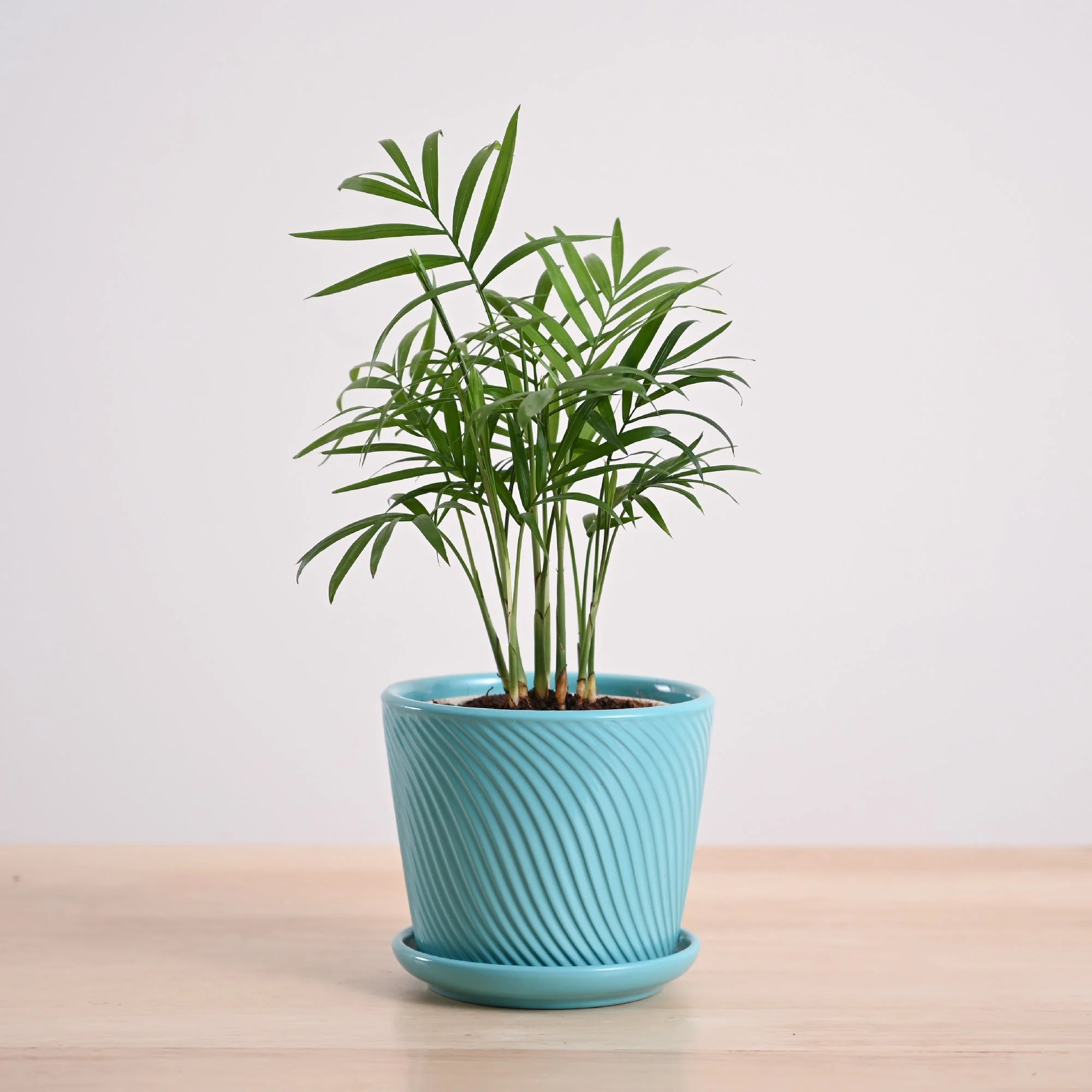 Product image 96