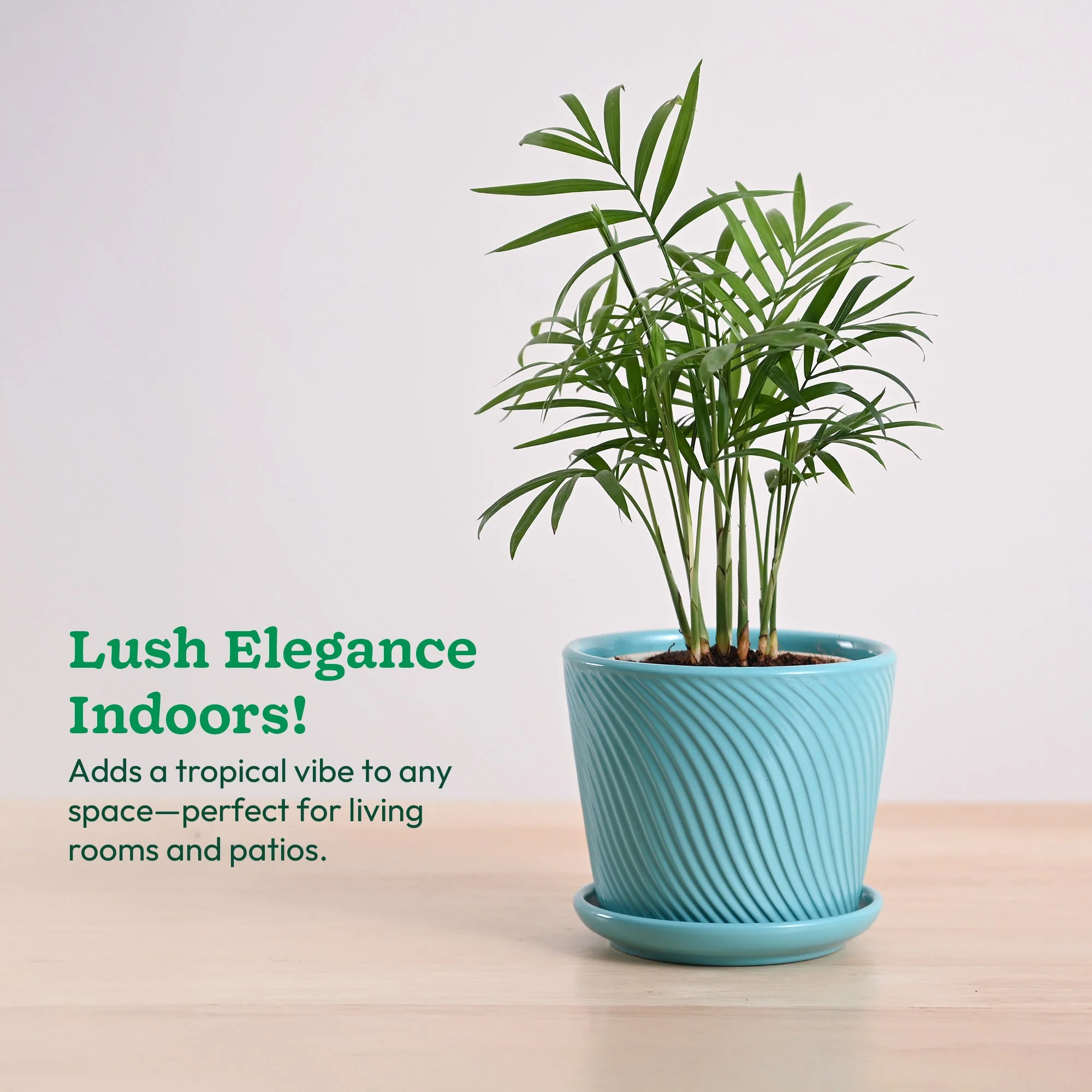 Product image 97