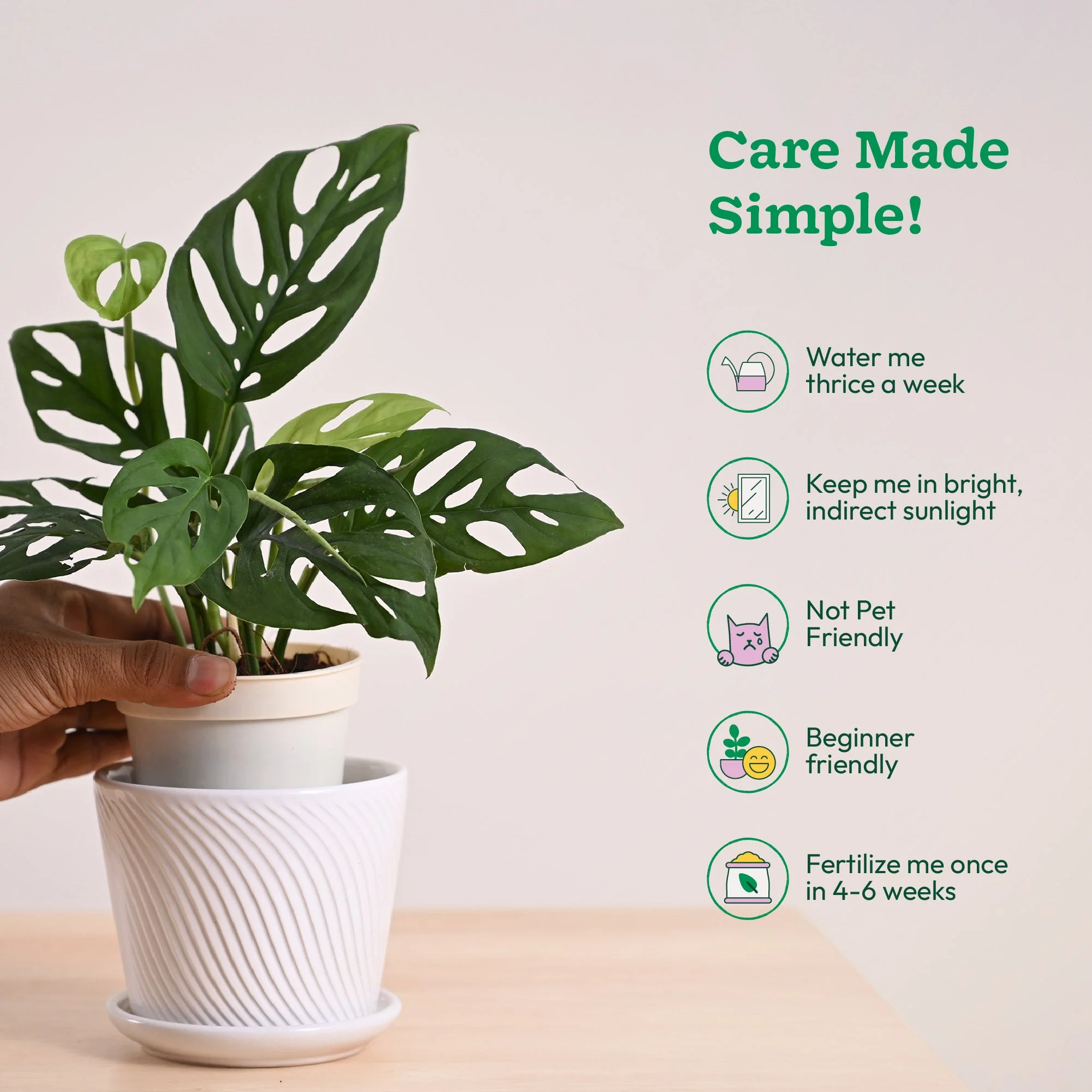 Product image 123