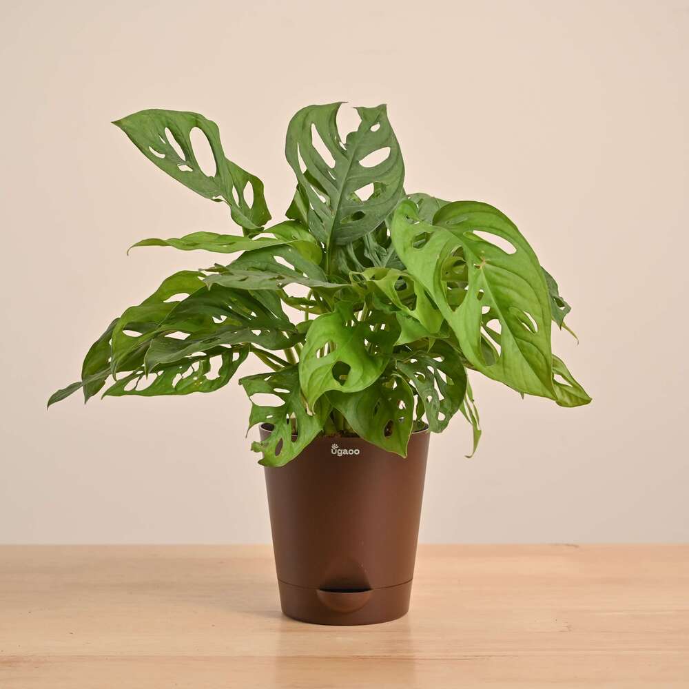 Product image 136