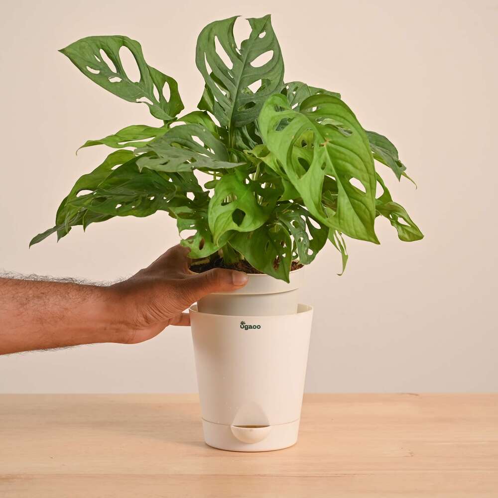 Product image 144