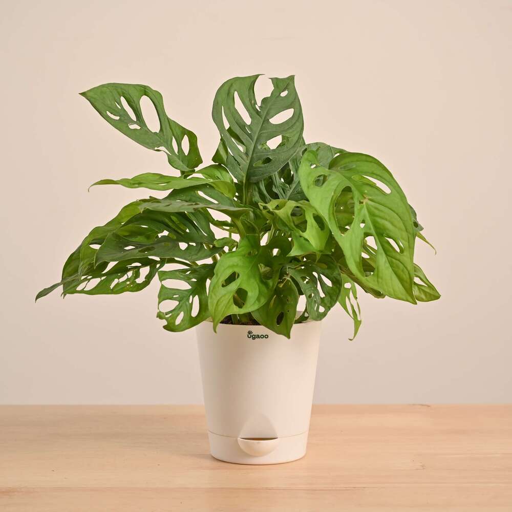 Product image 151