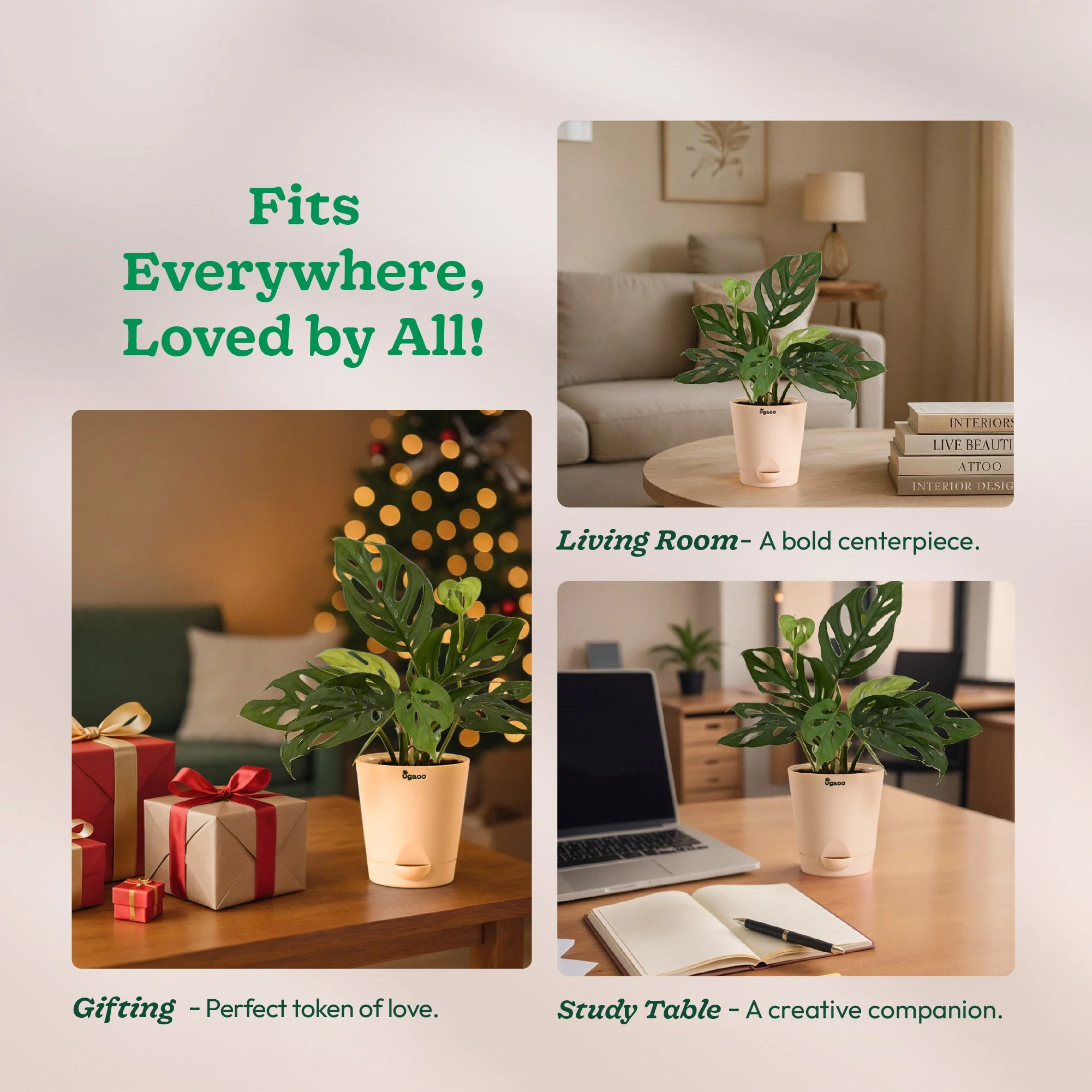 Product image 239