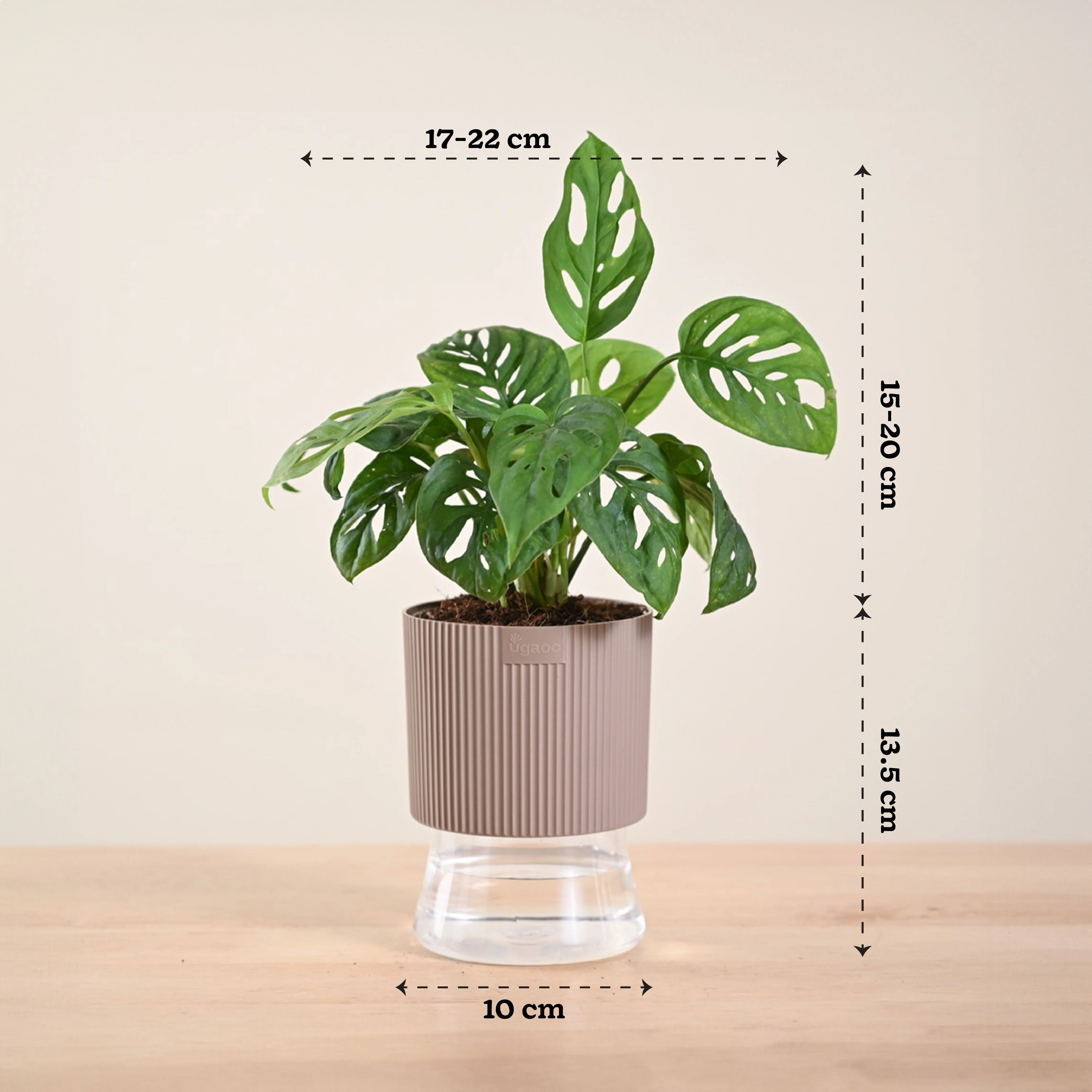 Product image 244