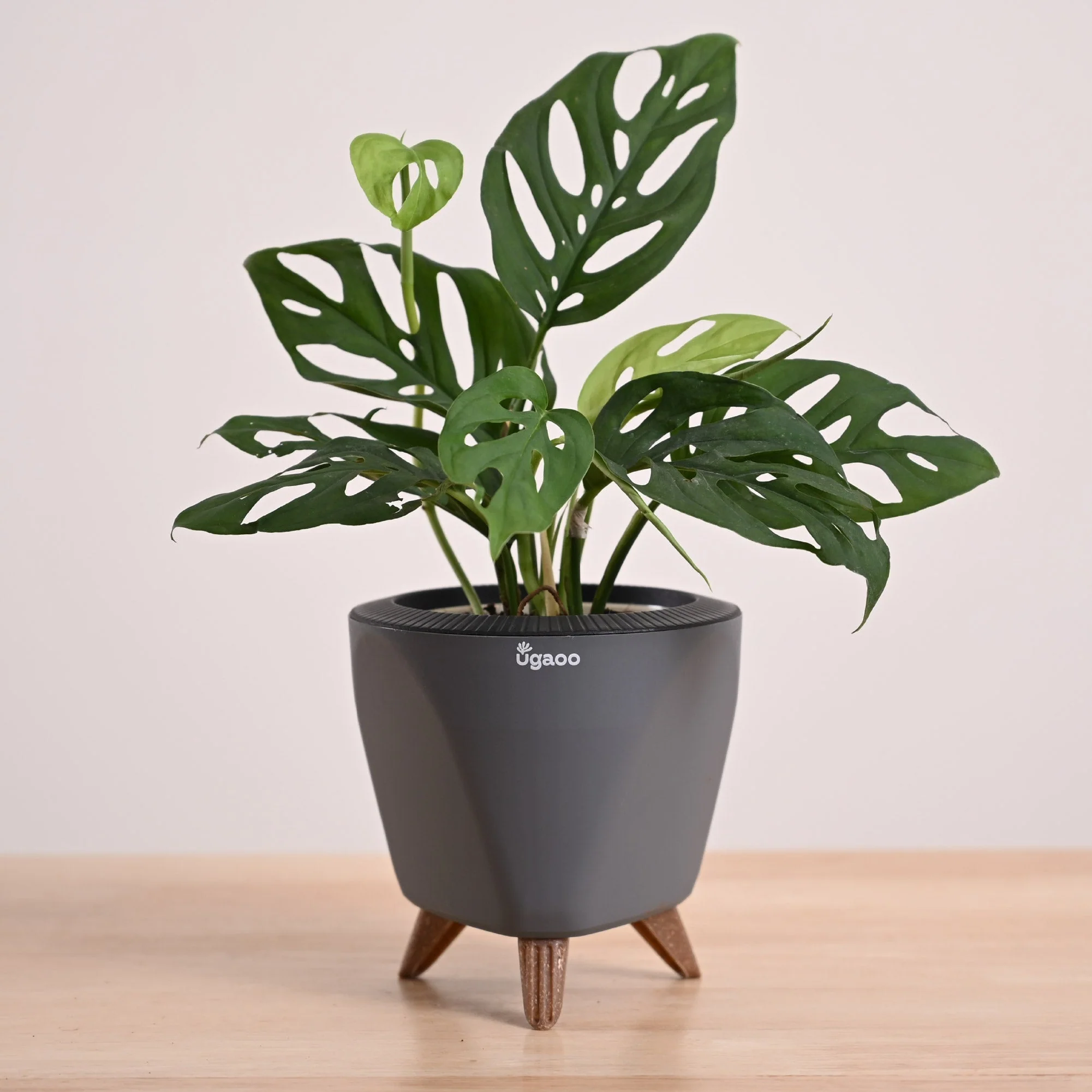 Product image 79