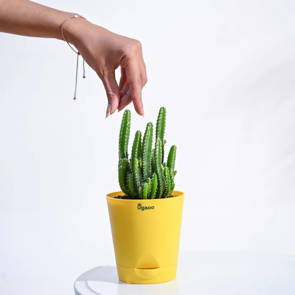 Product image 84
