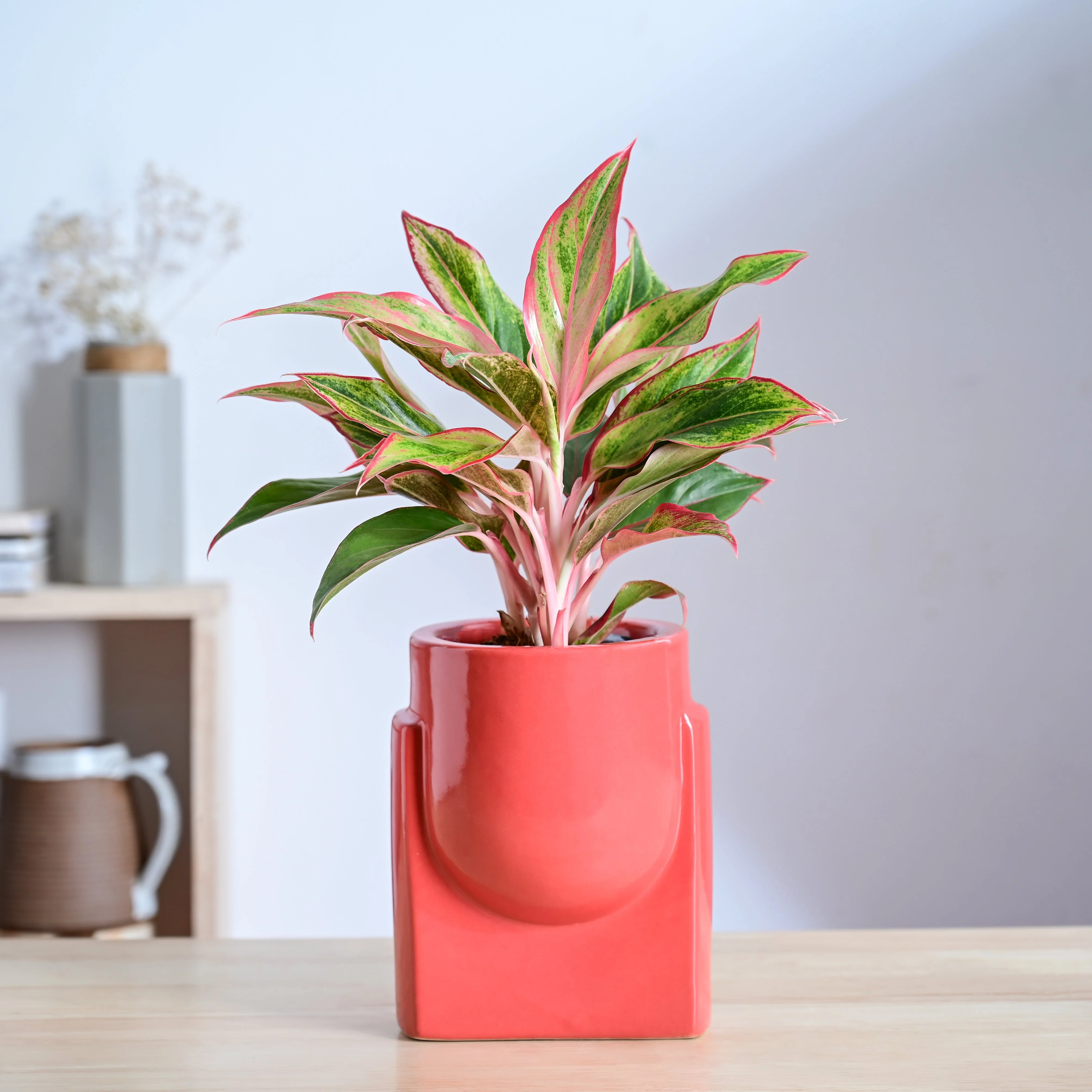 Product image 121