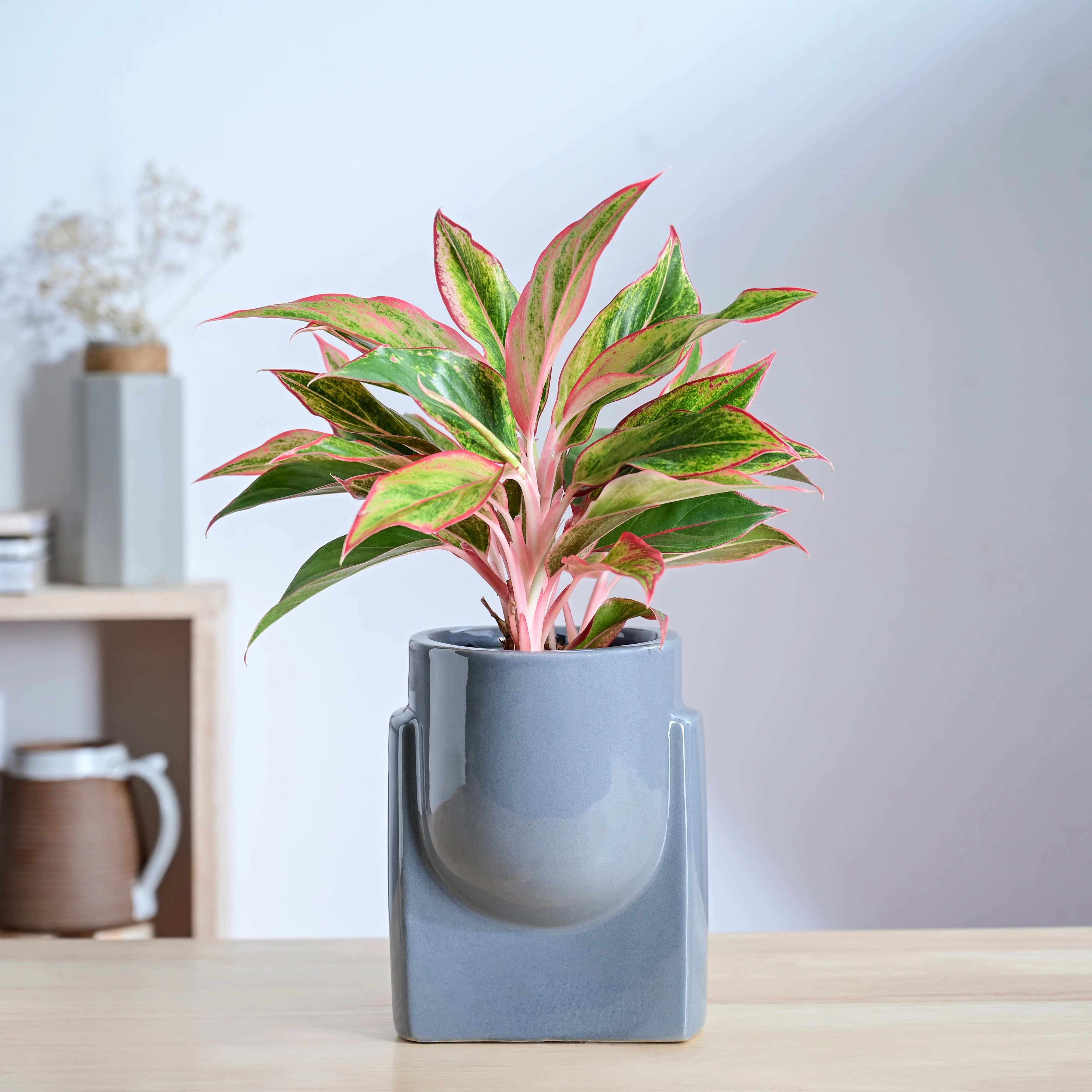 Product image 81