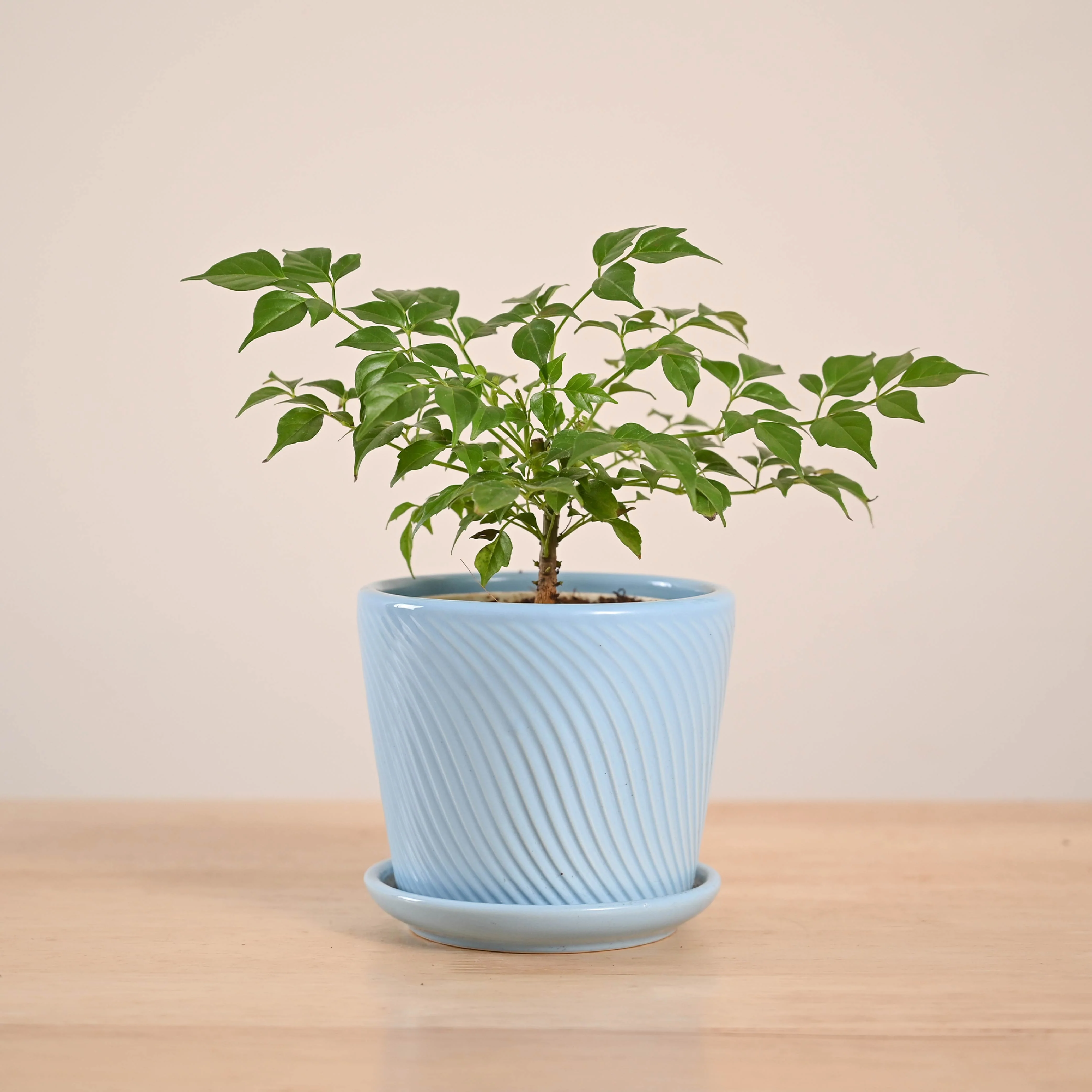 Product image 71