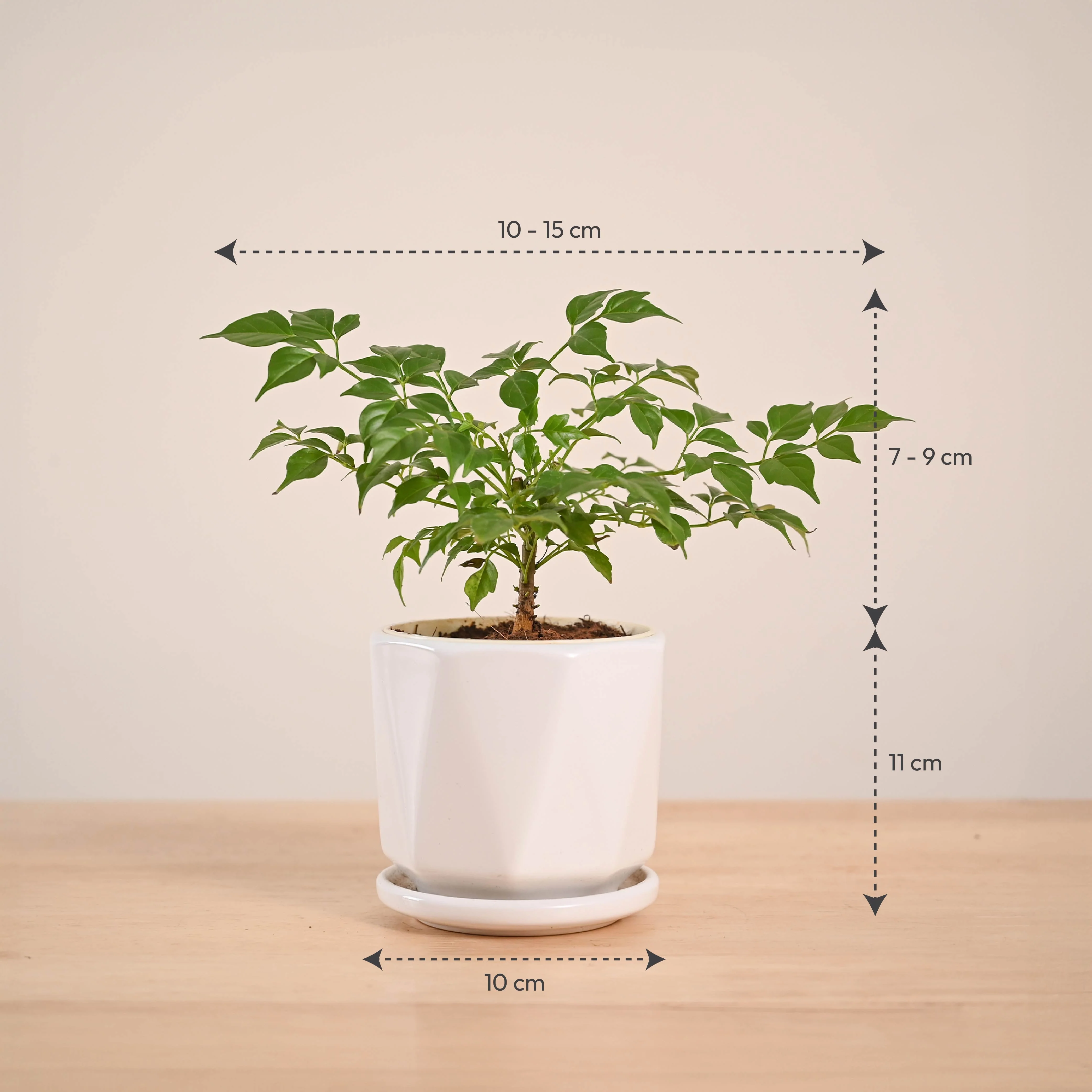 Product image 91