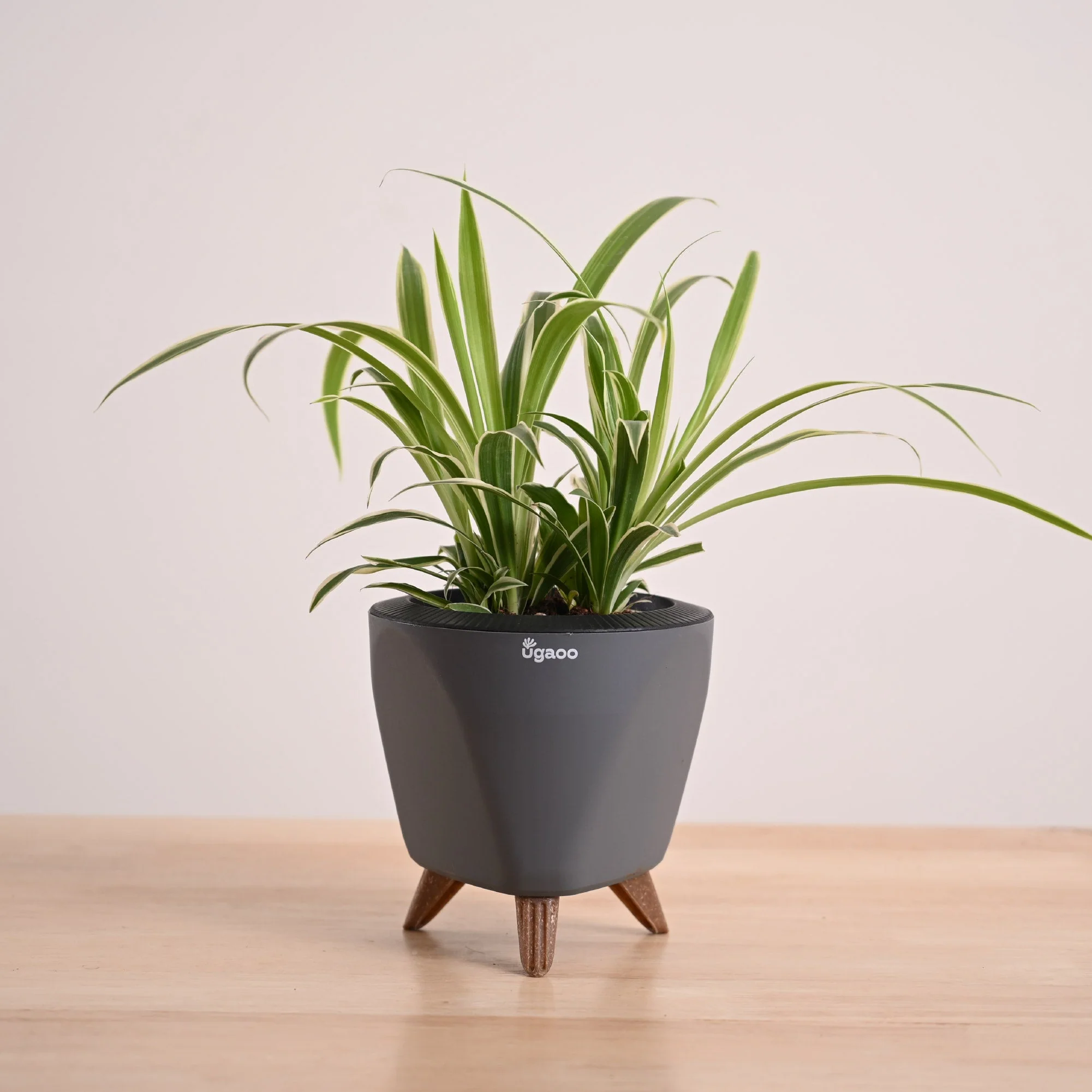 Product image 111