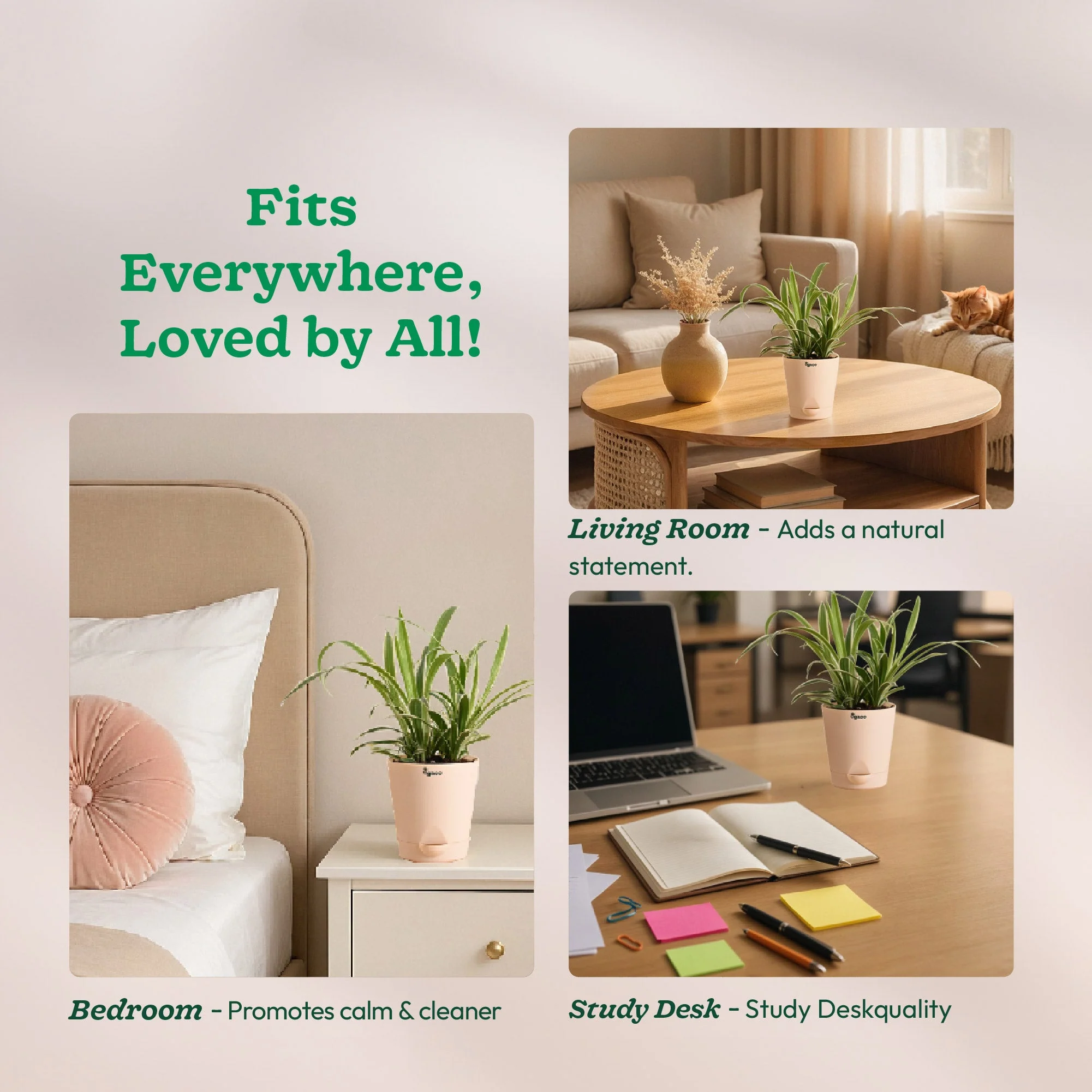 Product image 127