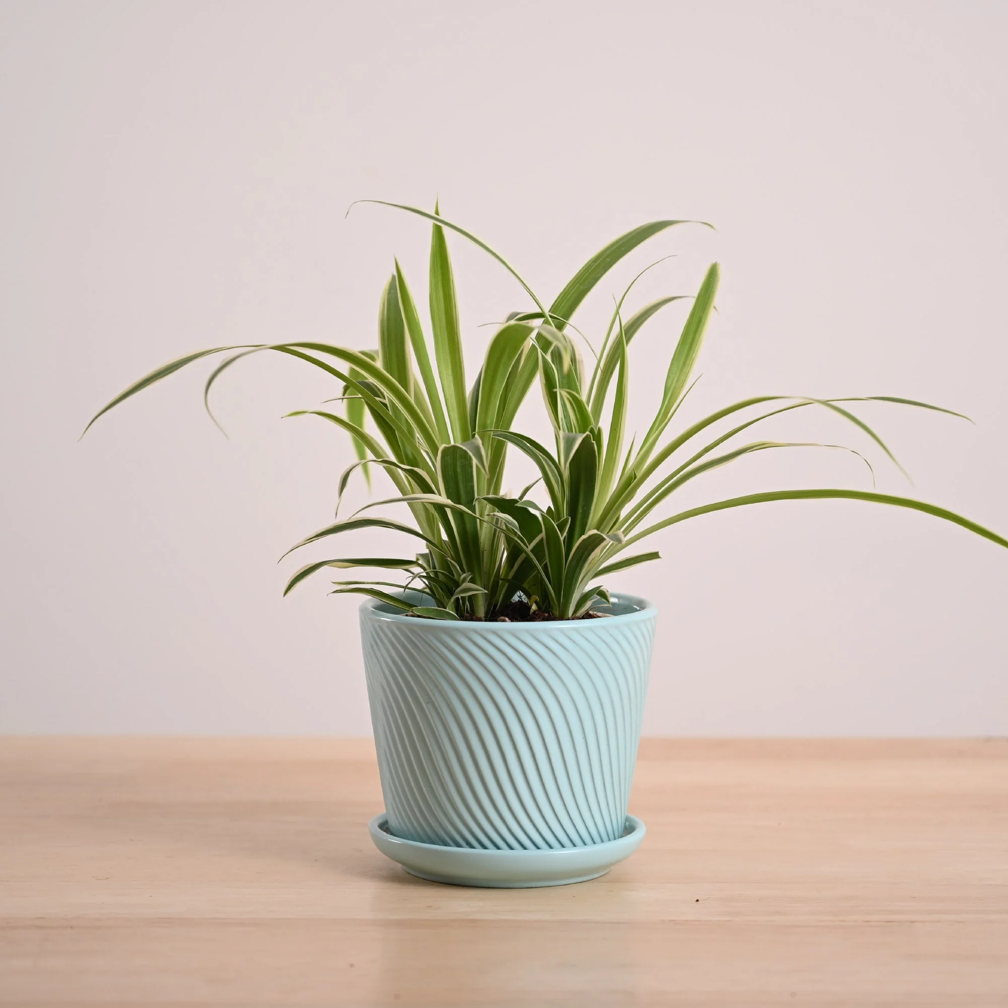 Product image 141