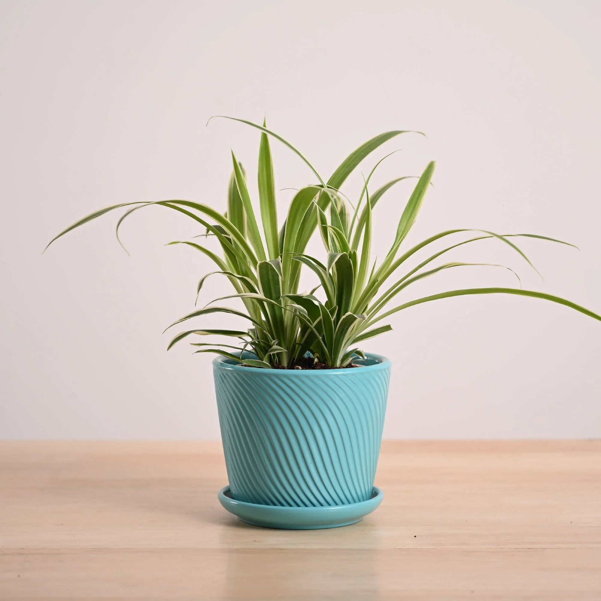 Product image 153