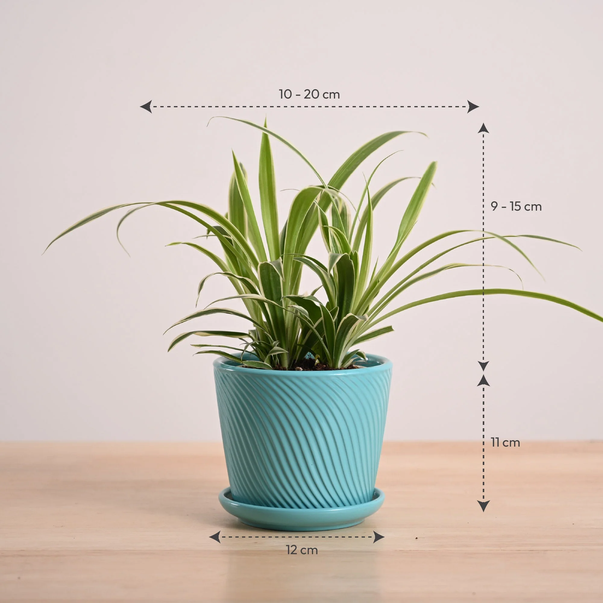 Product image 158