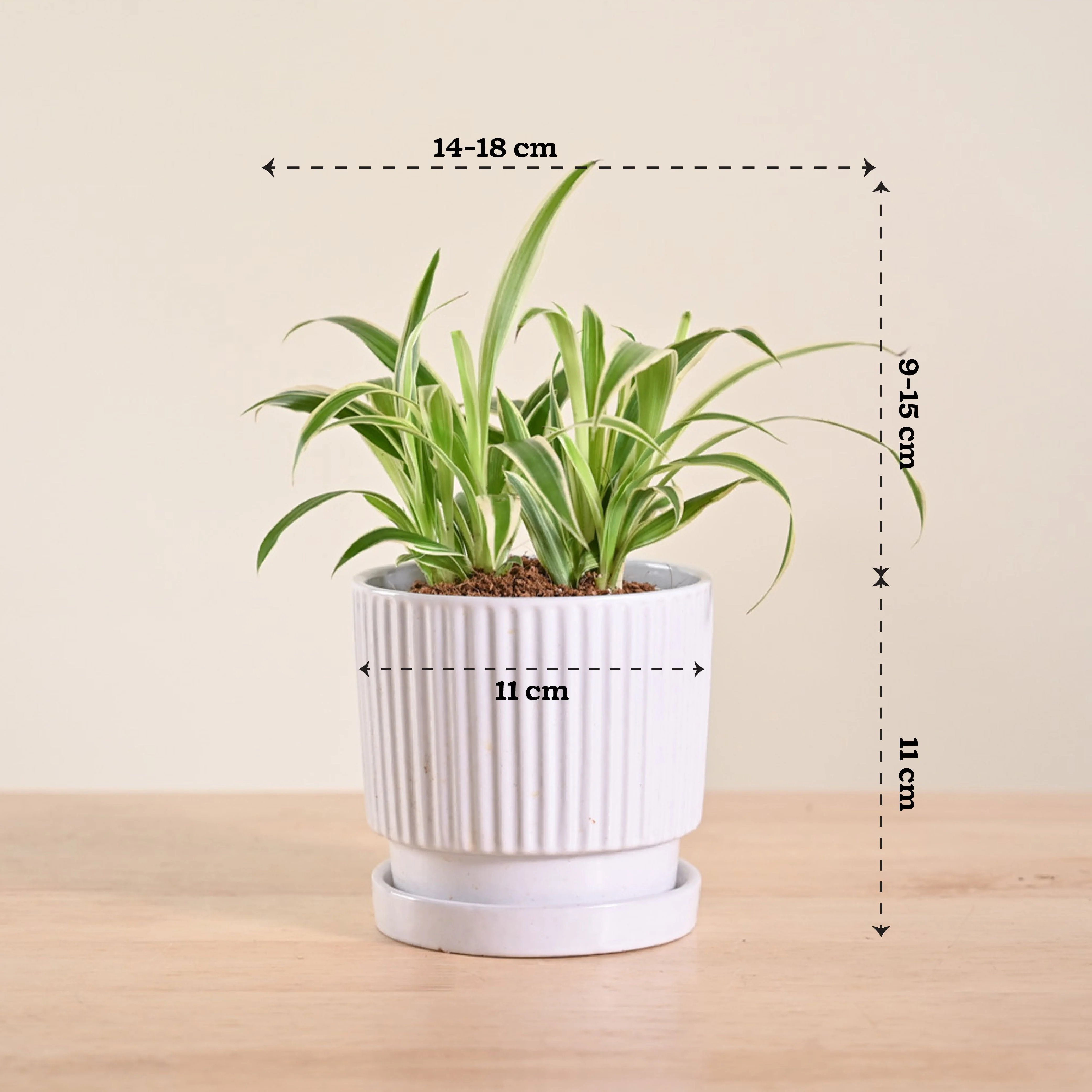 Product image 194