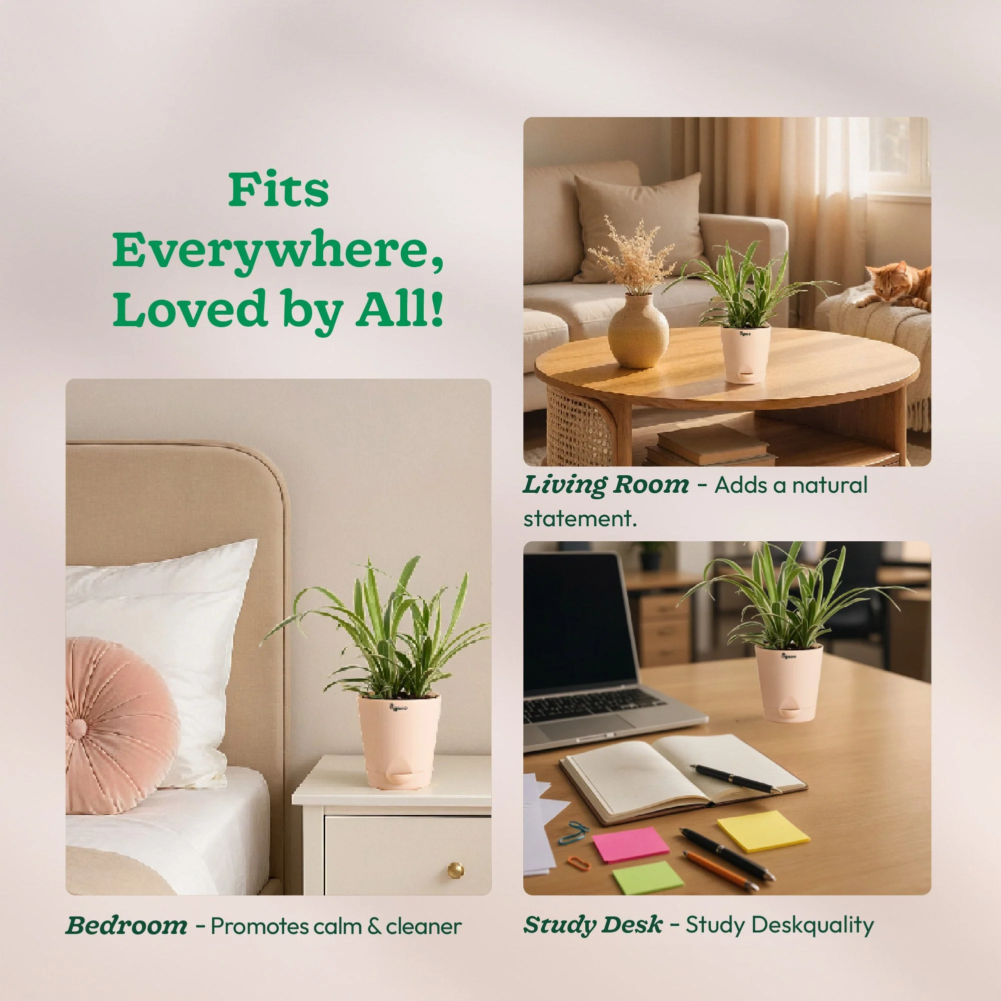 Product image 197