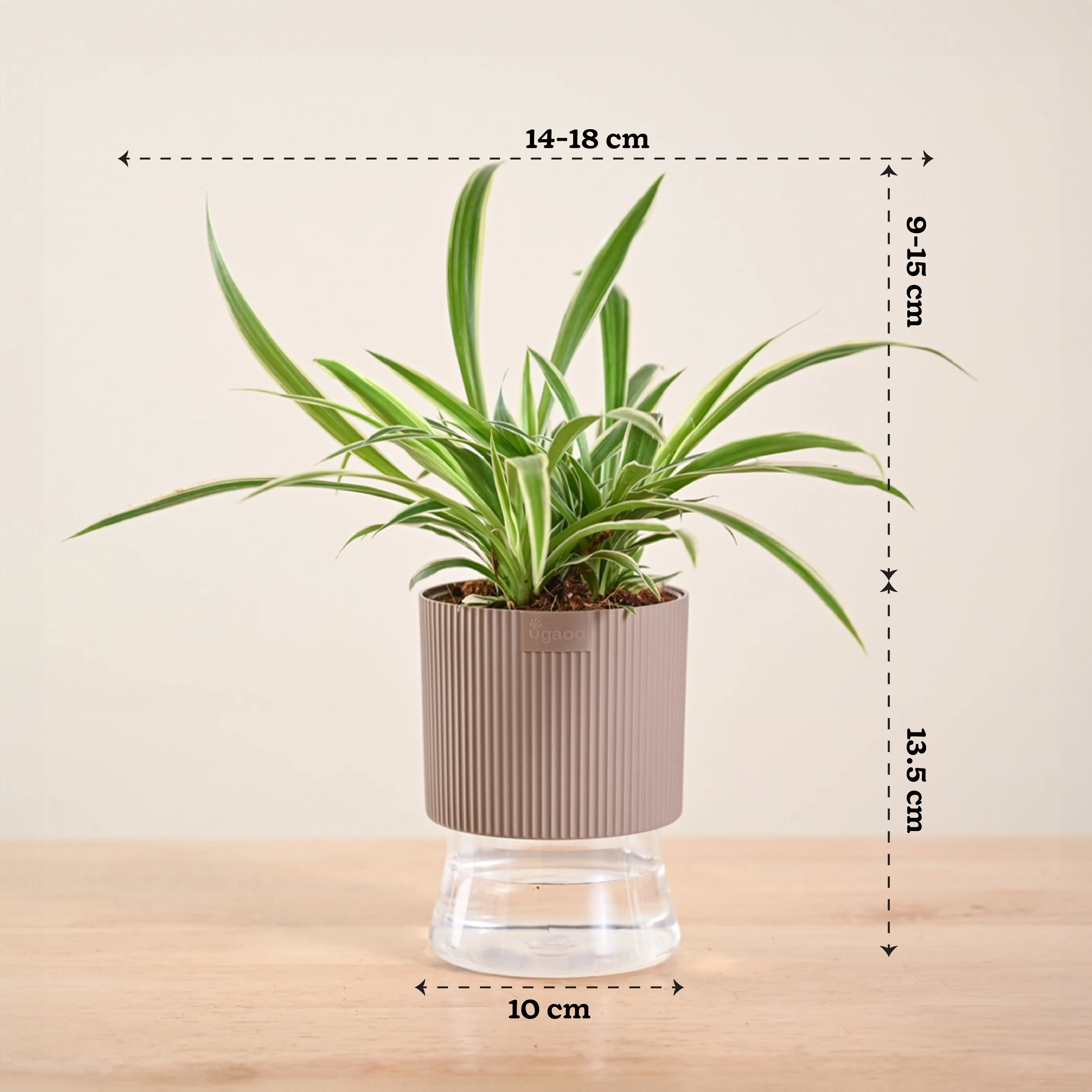 Product image 222