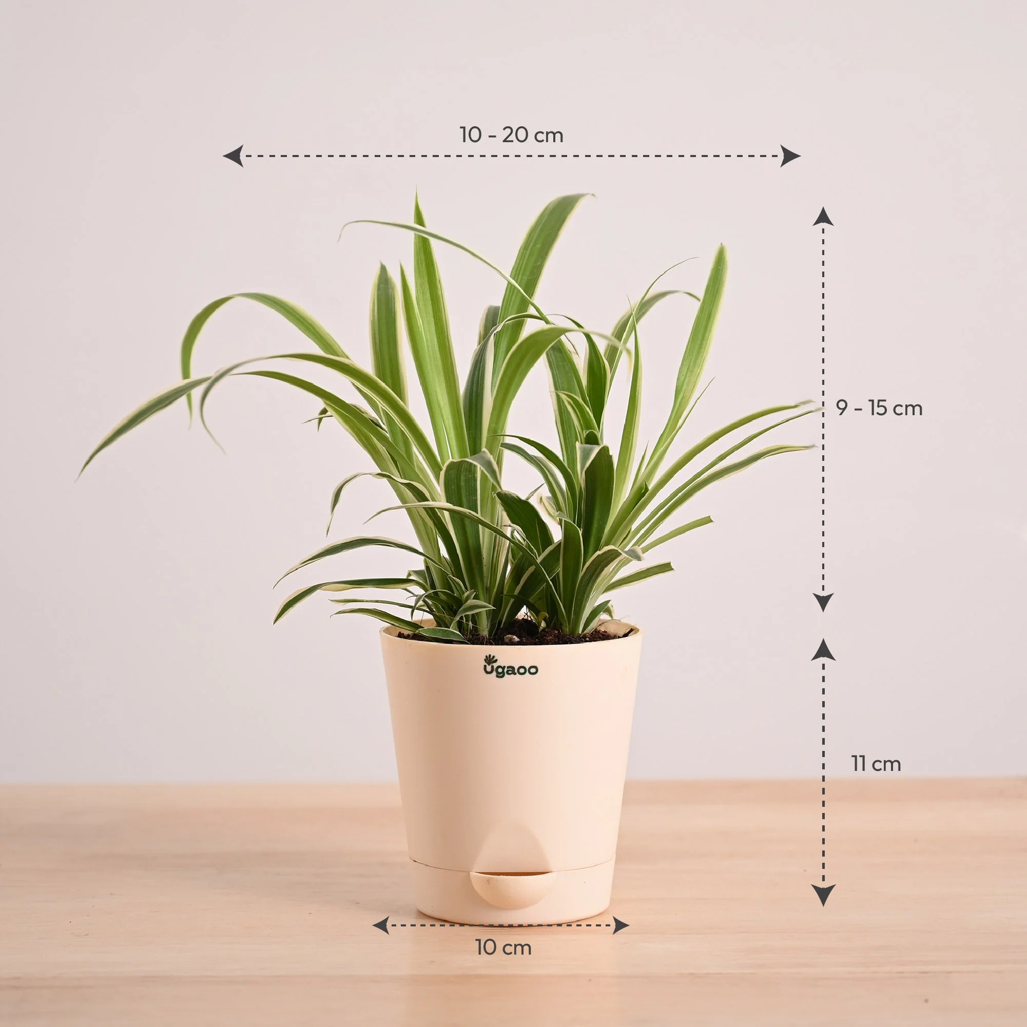 Product image 92