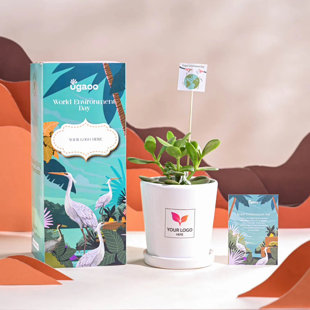 Product image 67