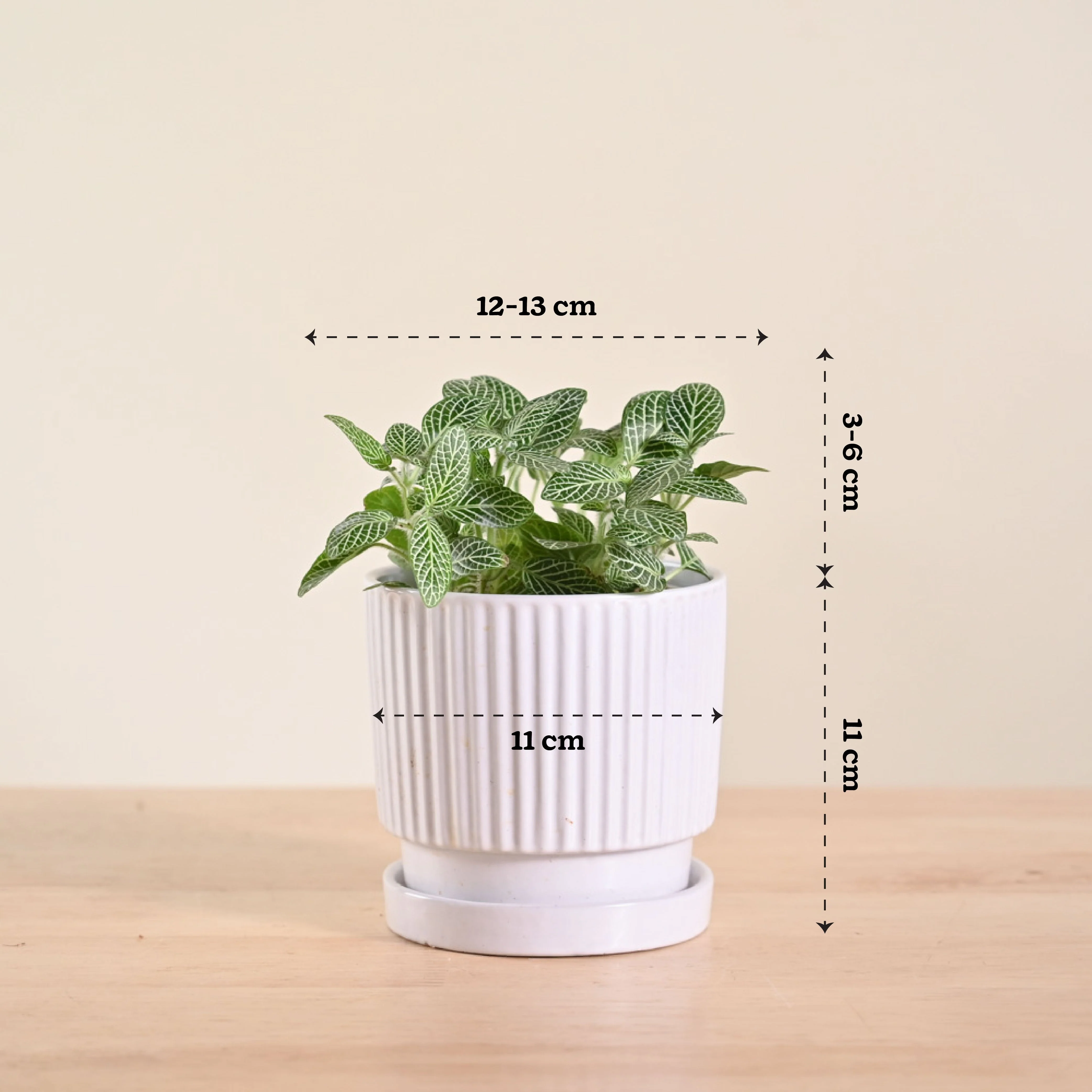 Product image 105