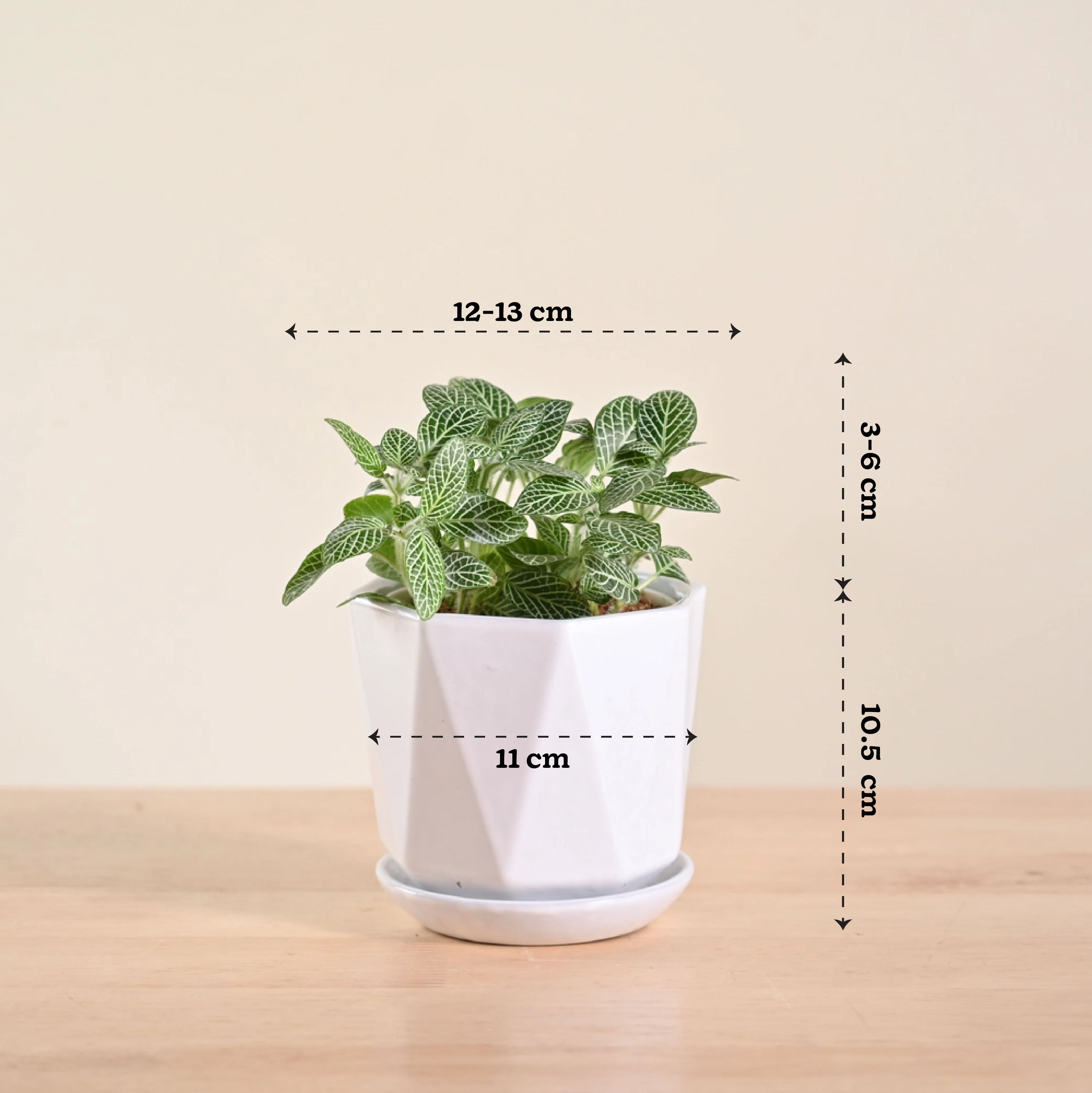 Product image 91
