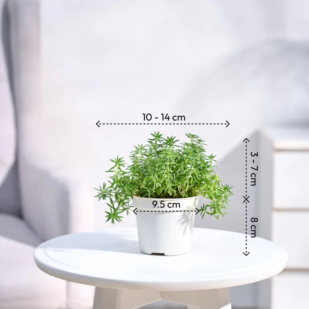 Product image 108