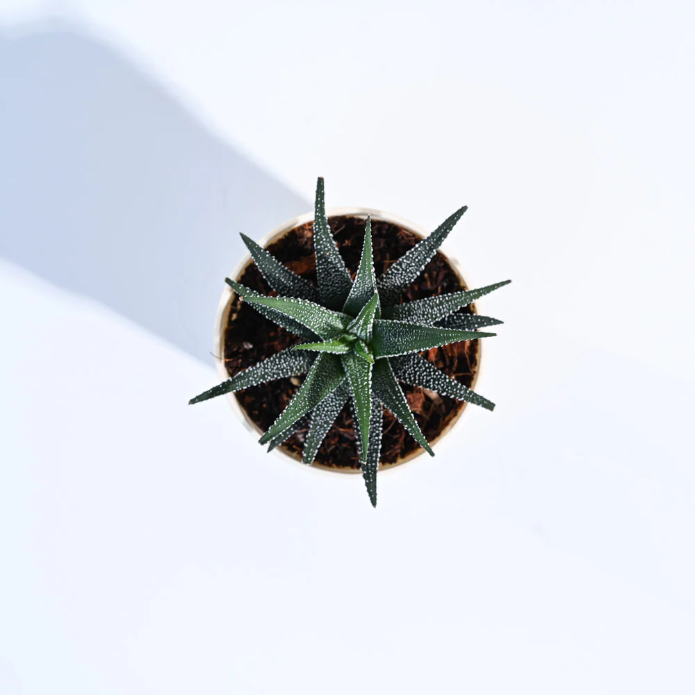 Product image 118