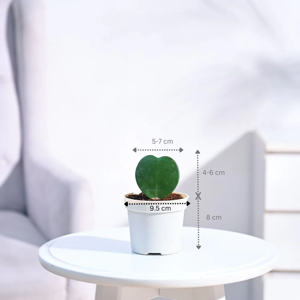 Product image 102