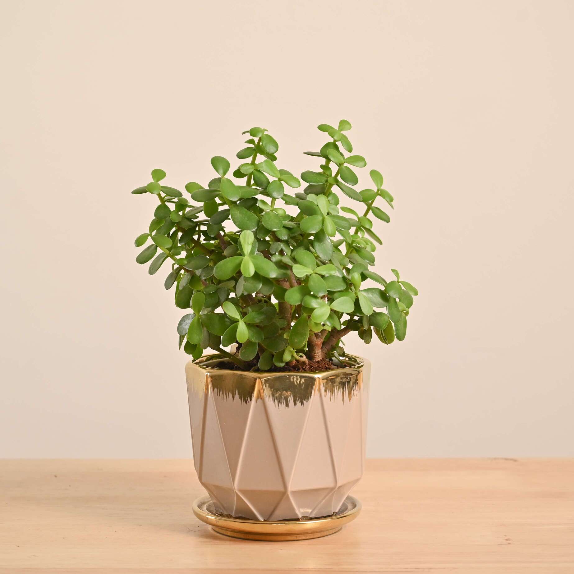 Product image 123