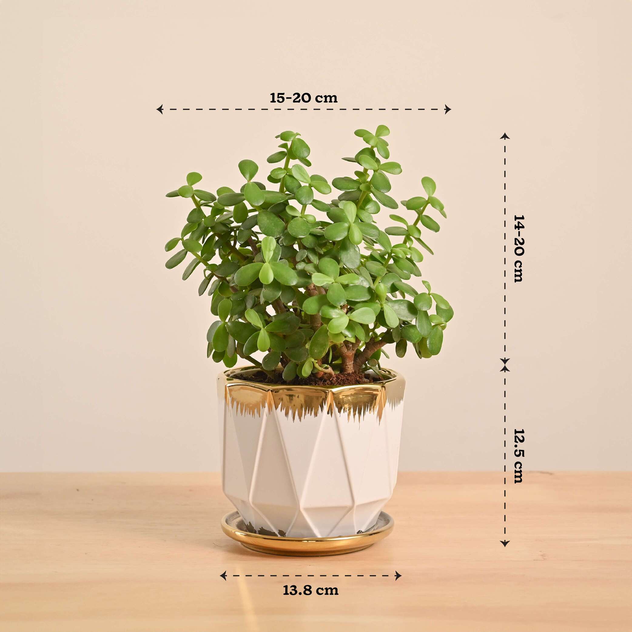 Product image 128