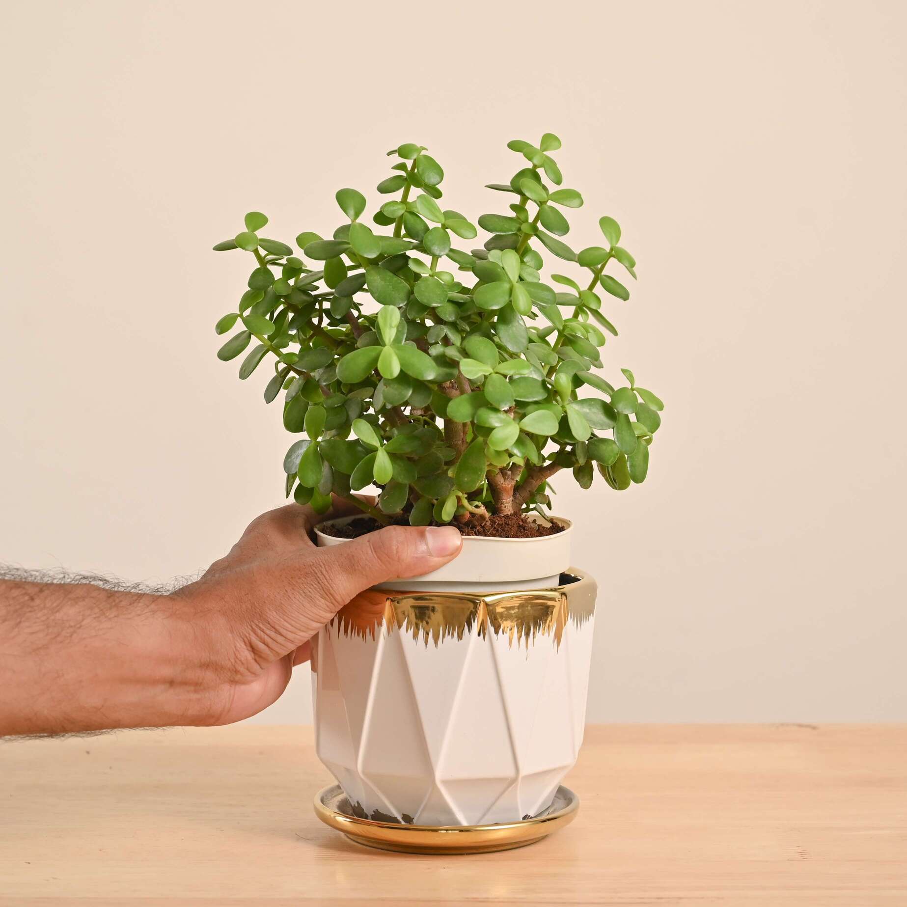 Product image 130