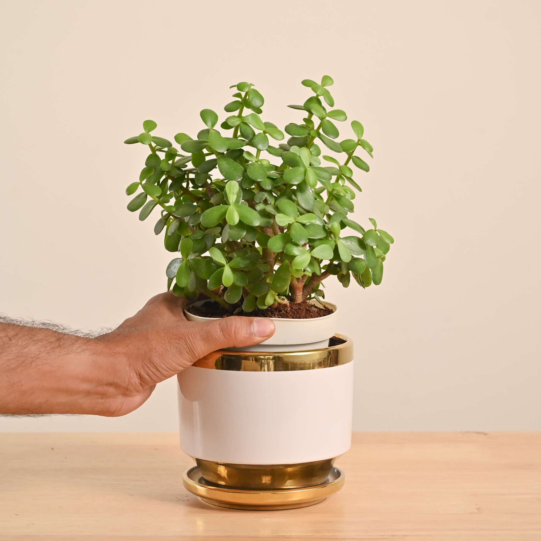 Product image 138