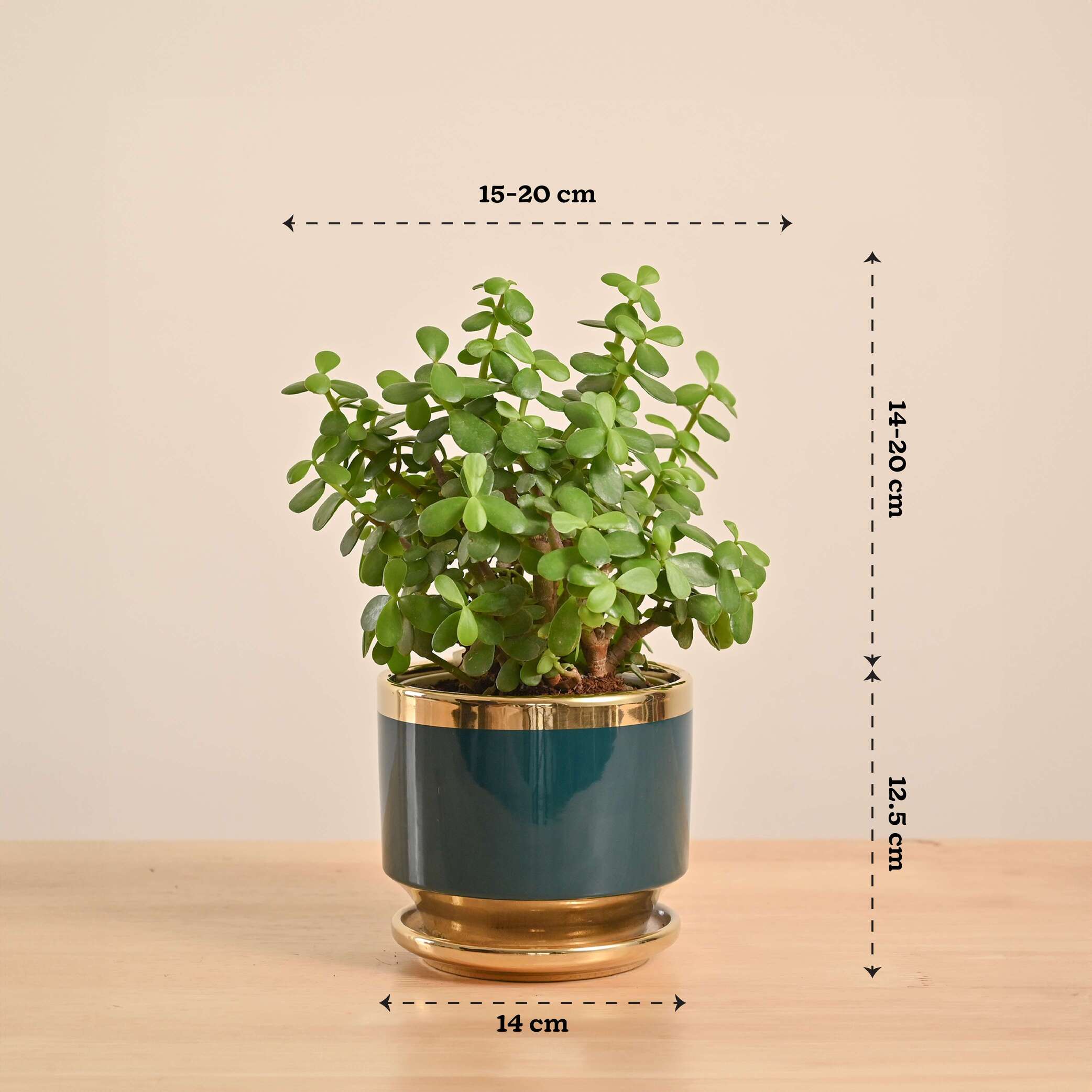 Product image 140