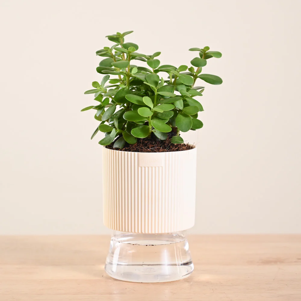 Product image 191