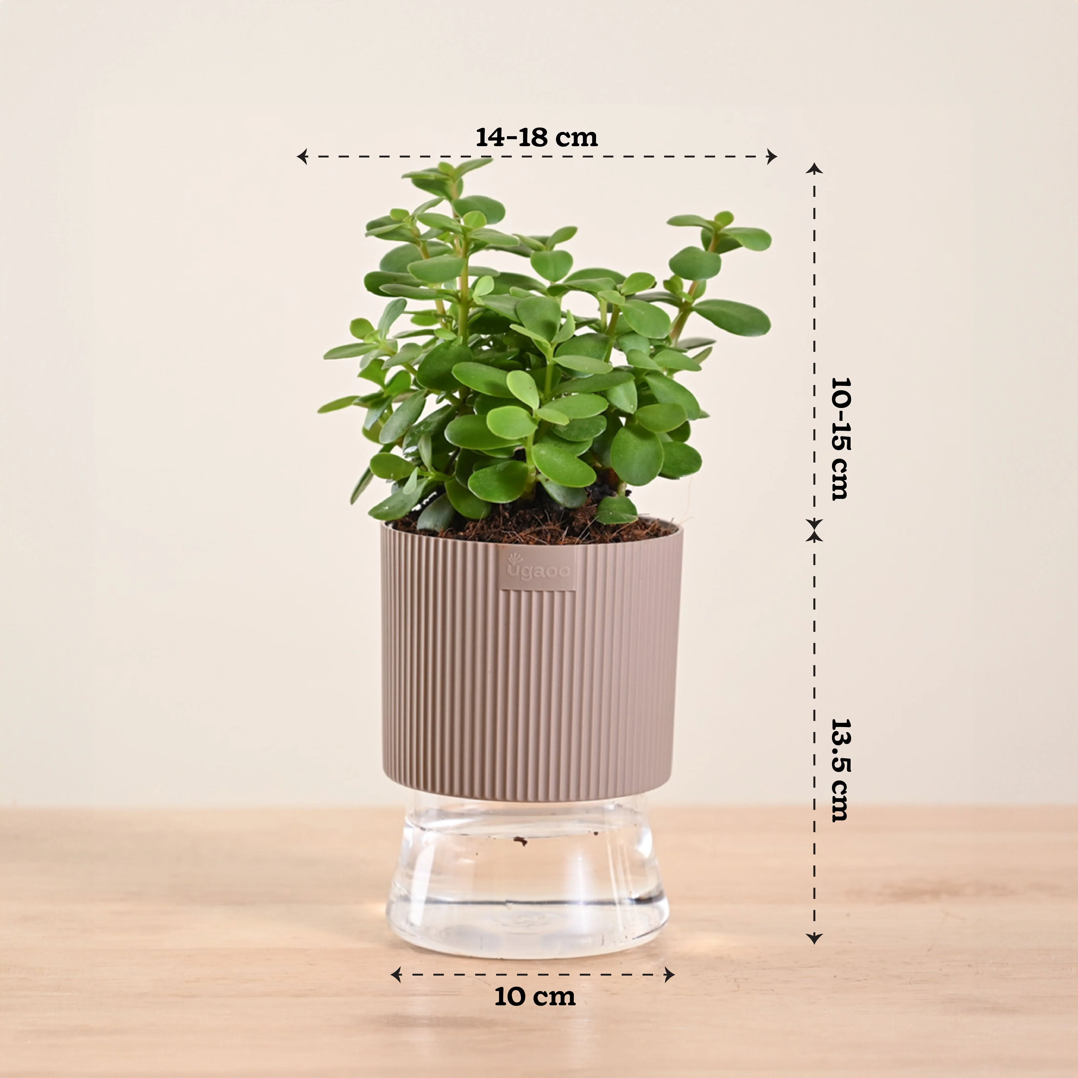 Product image 192