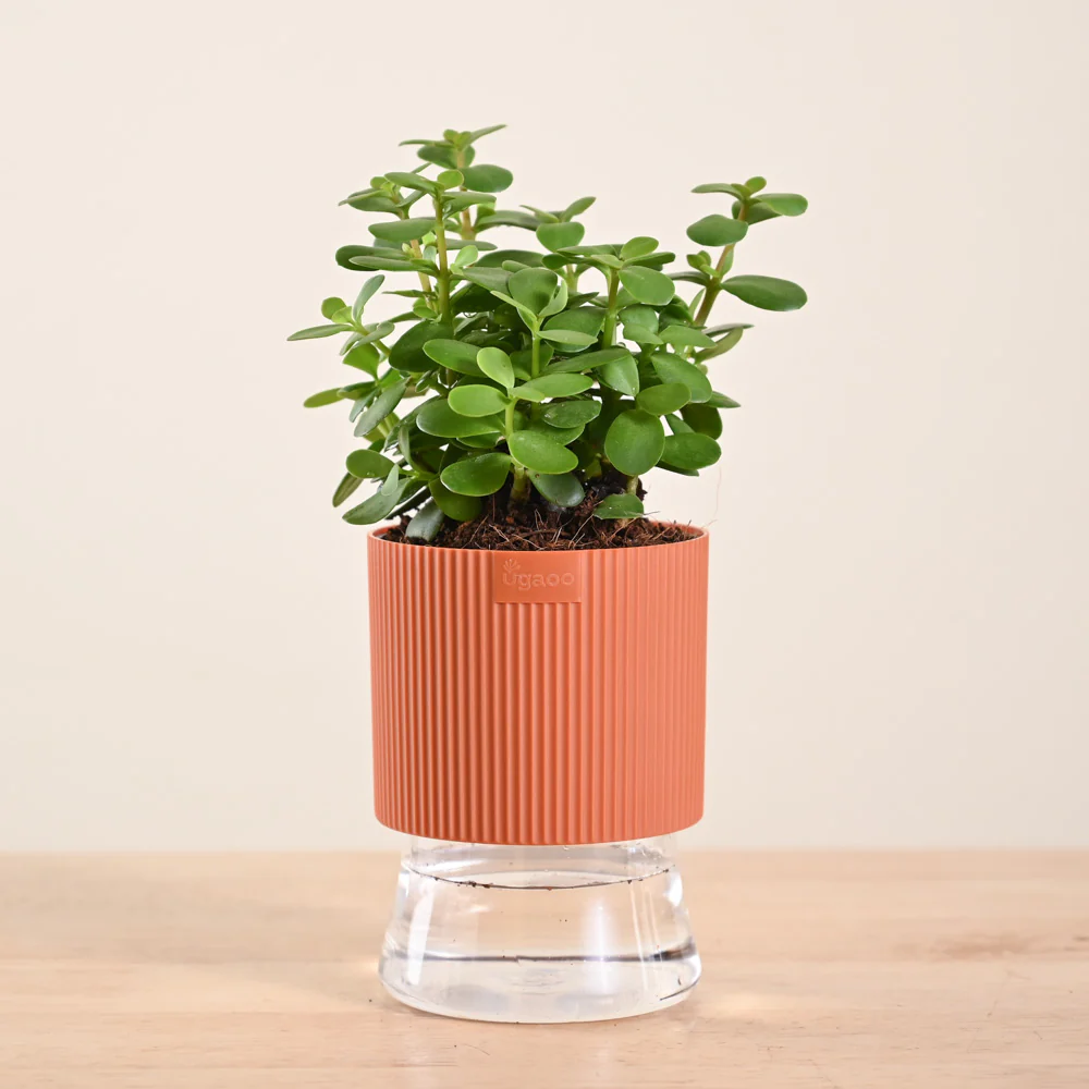 Product image 199