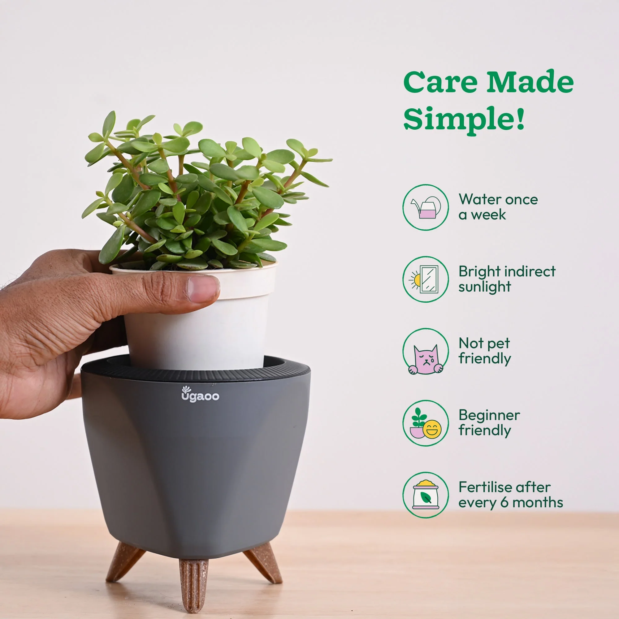 Product image 43