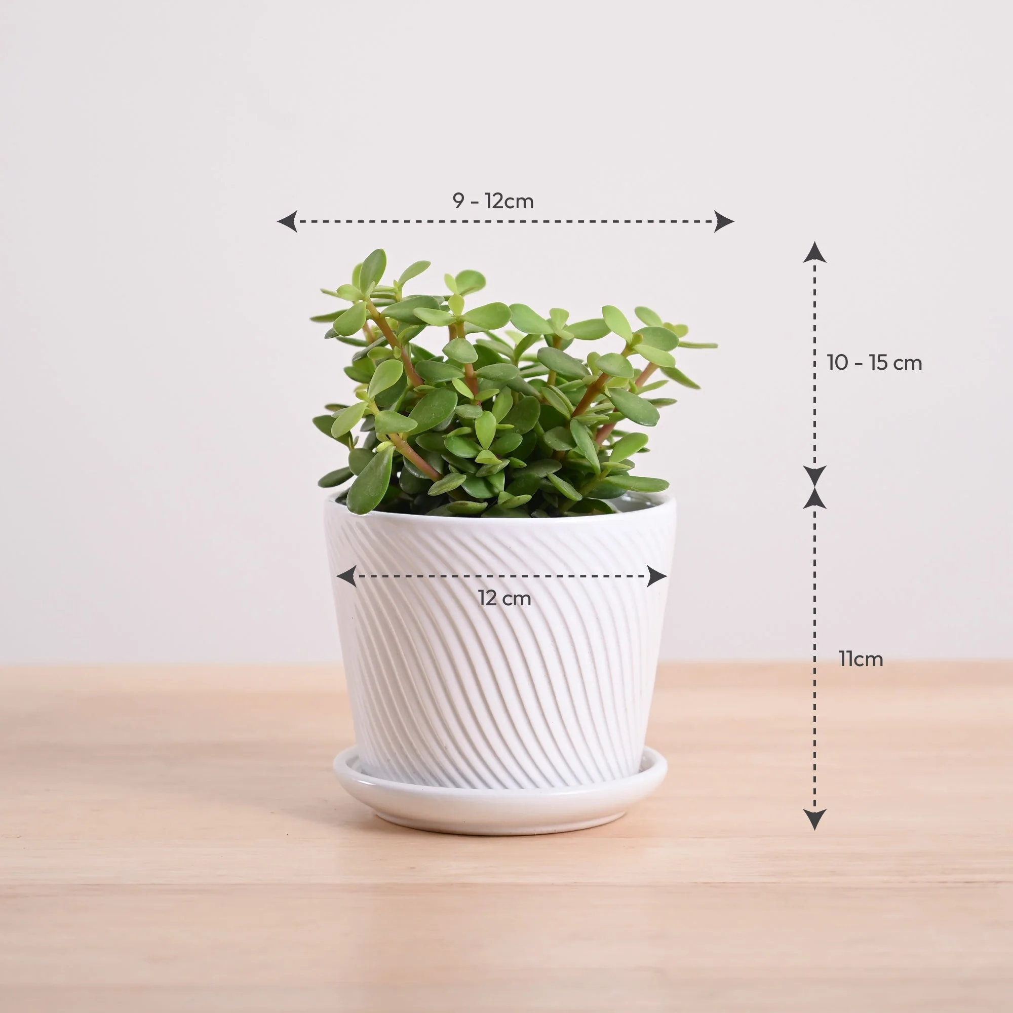 Product image 84