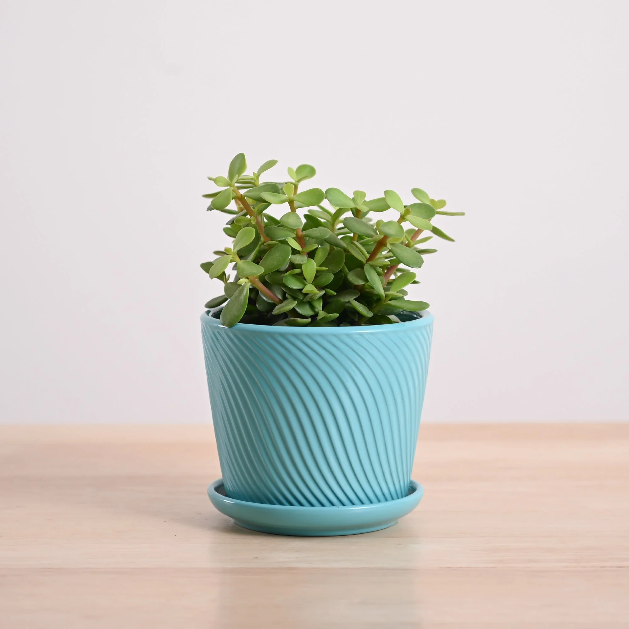 Product image 88